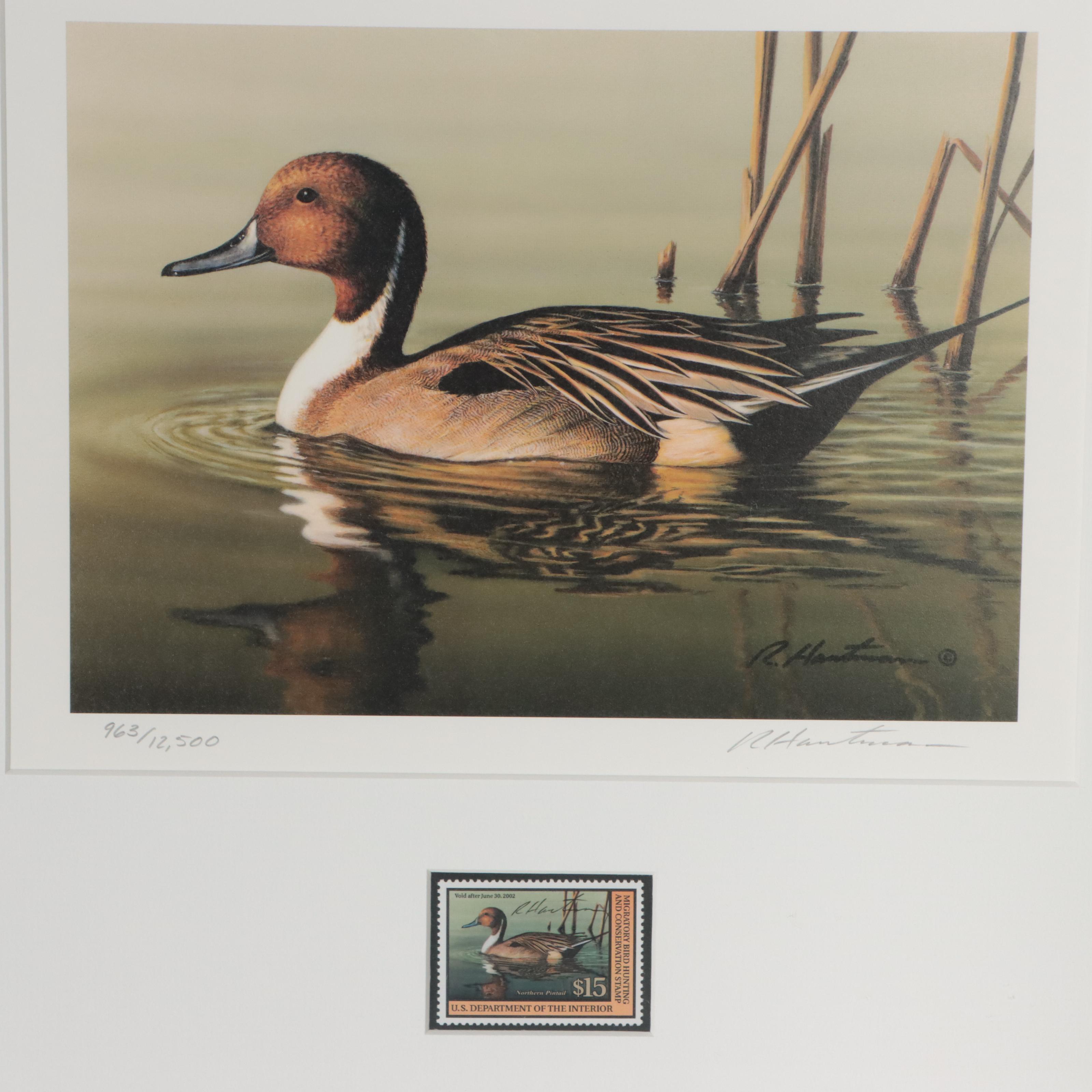 Waterfowl Themed Offset Lithographs and Postage Stamps