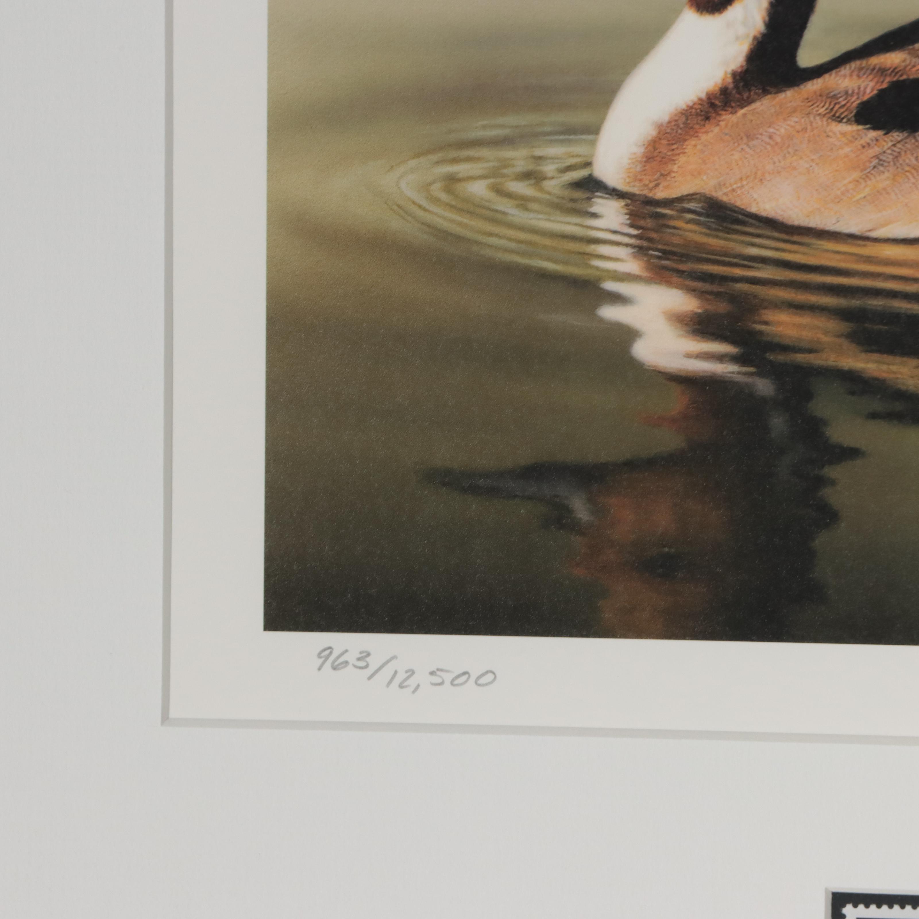 Waterfowl Themed Offset Lithographs and Postage Stamps