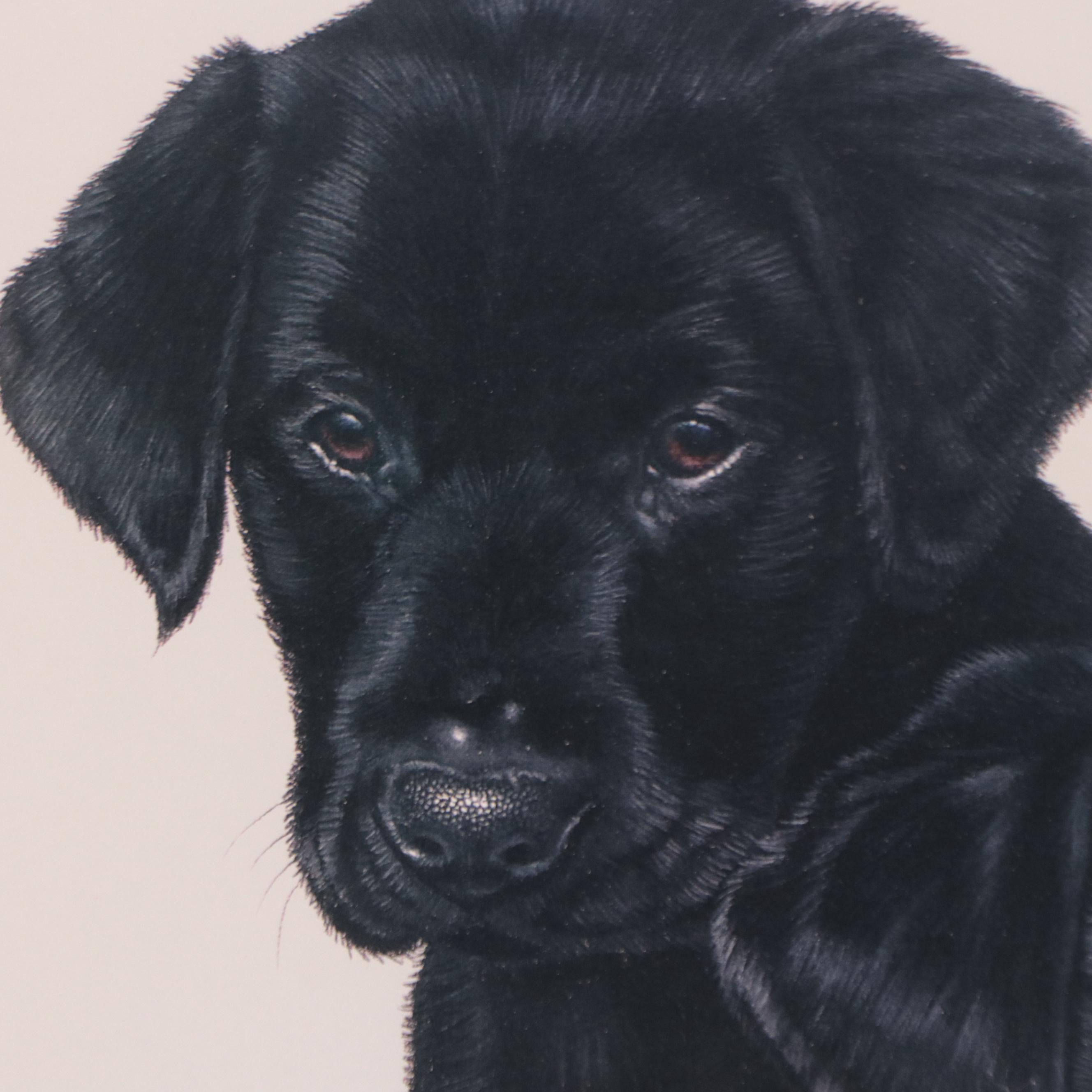 Les Anderson Offset Lithograph of Dog Portraits, Late 20th Century