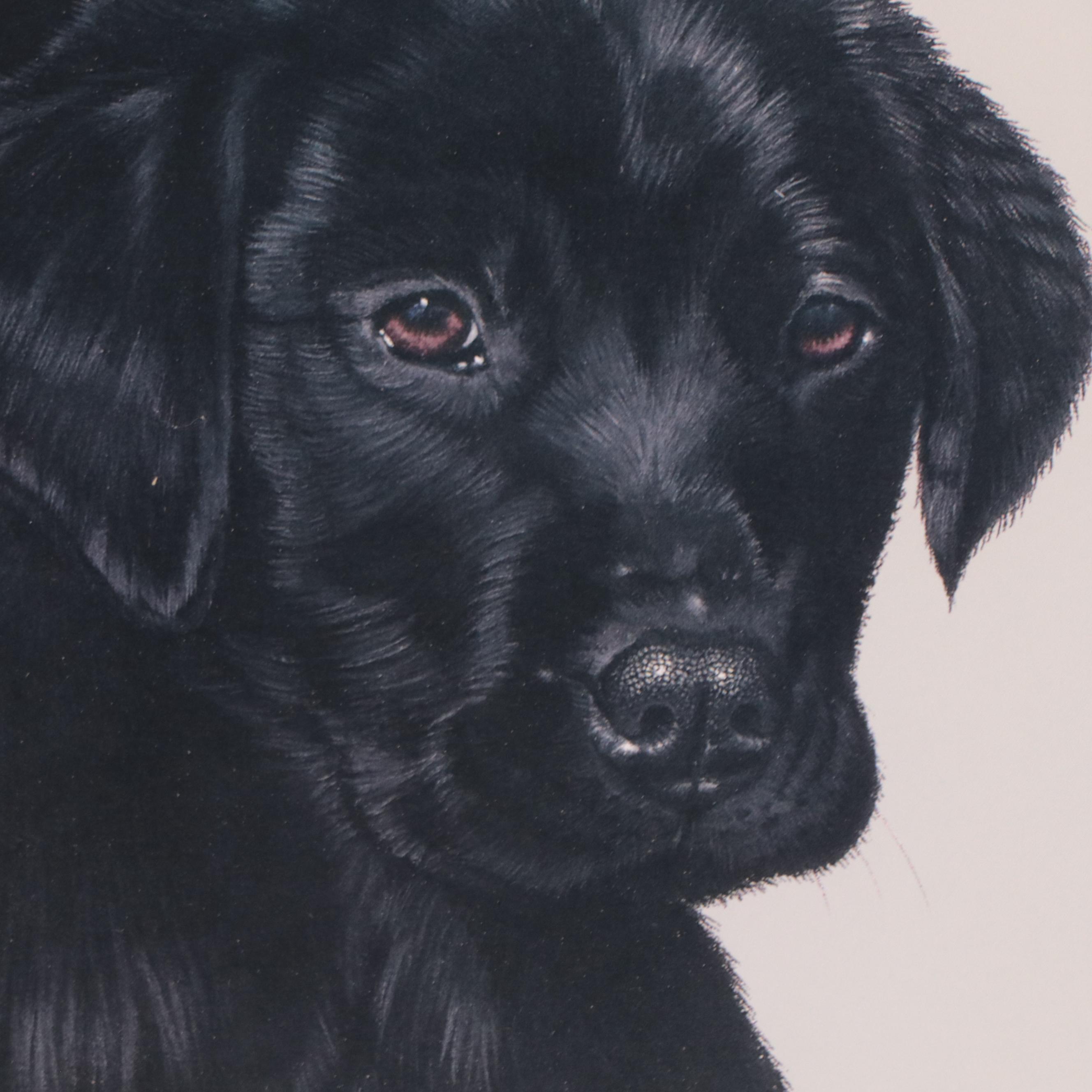 Les Anderson Offset Lithograph of Dog Portraits, Late 20th Century