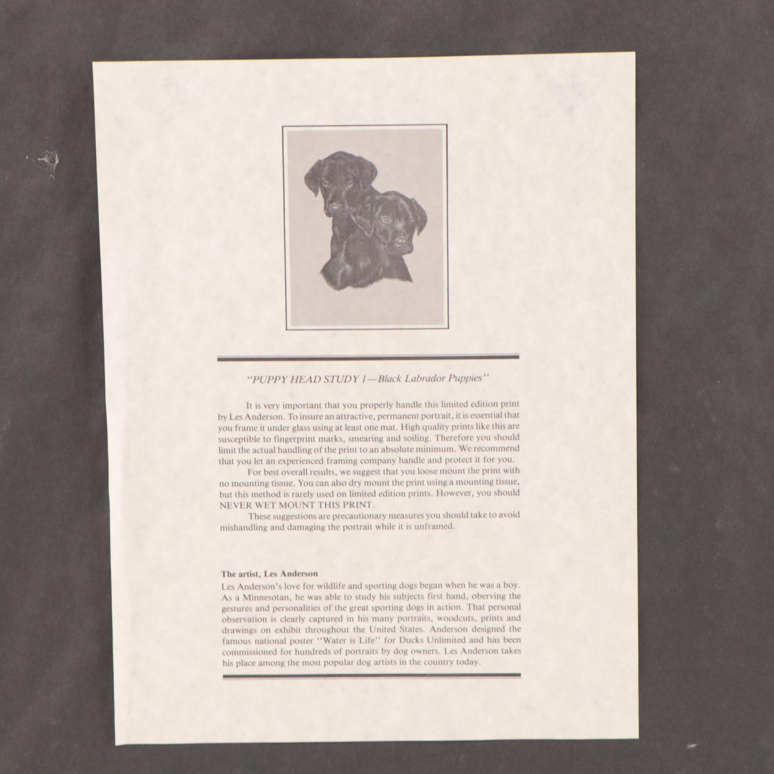 Les Anderson Offset Lithograph of Dog Portraits, Late 20th Century