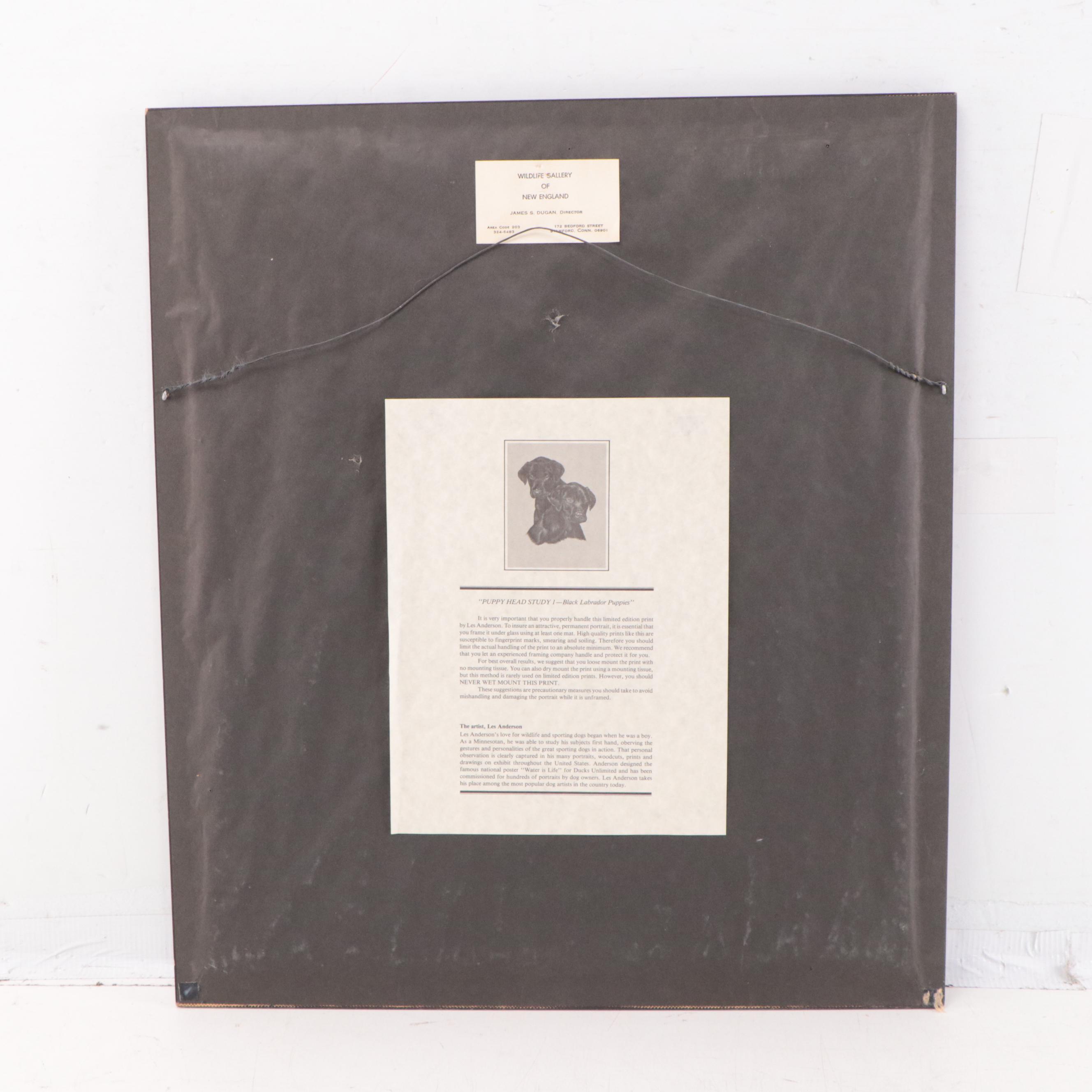 Les Anderson Offset Lithograph of Dog Portraits, Late 20th Century