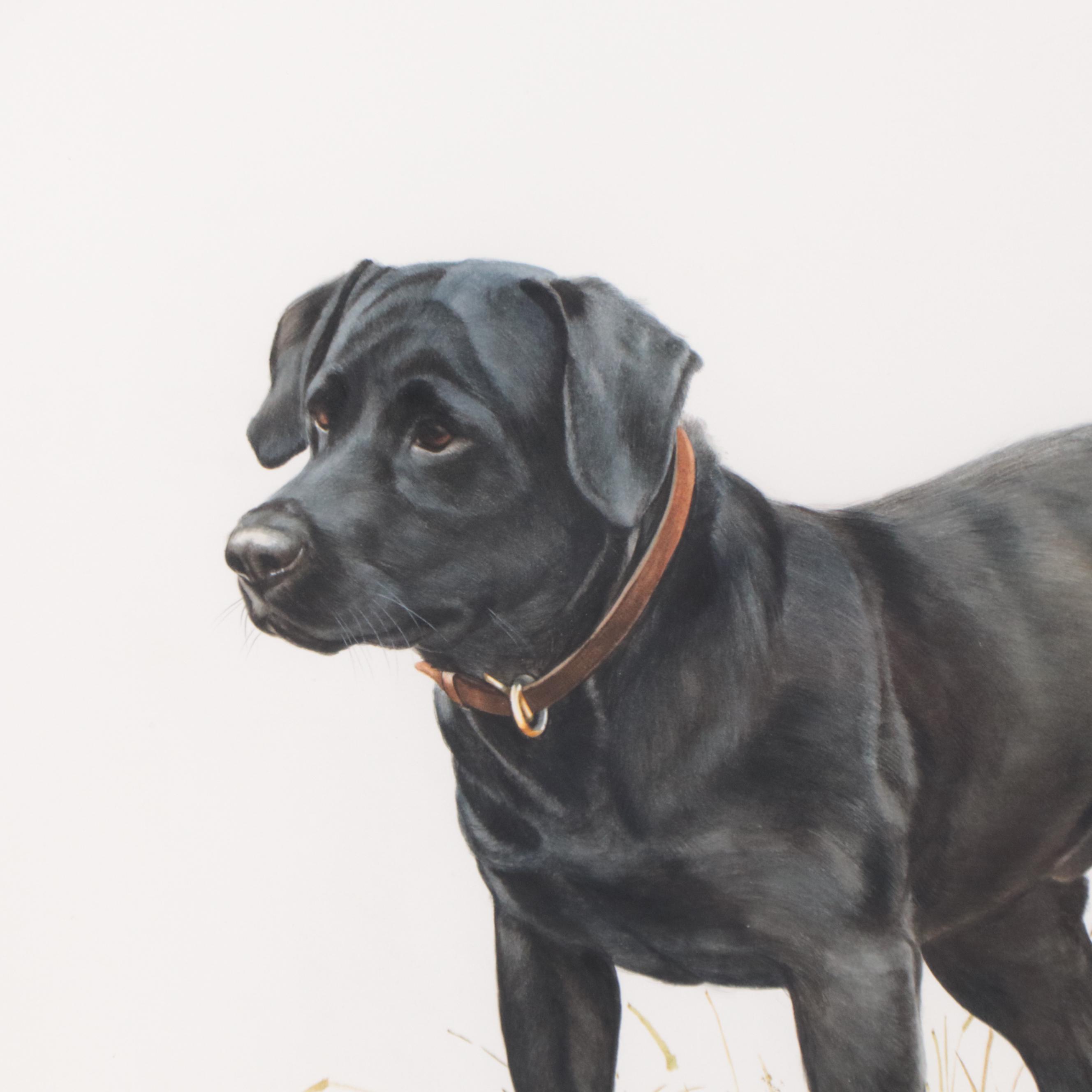 Heidi Lindy Watercolor Painting of Dog Portrait "Canaan"