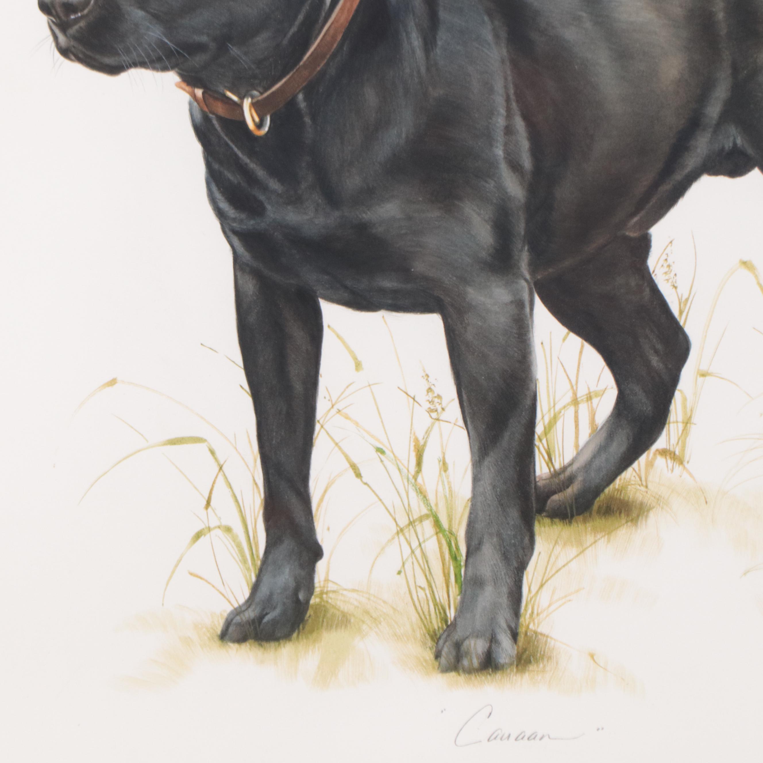 Heidi Lindy Watercolor Painting of Dog Portrait "Canaan"