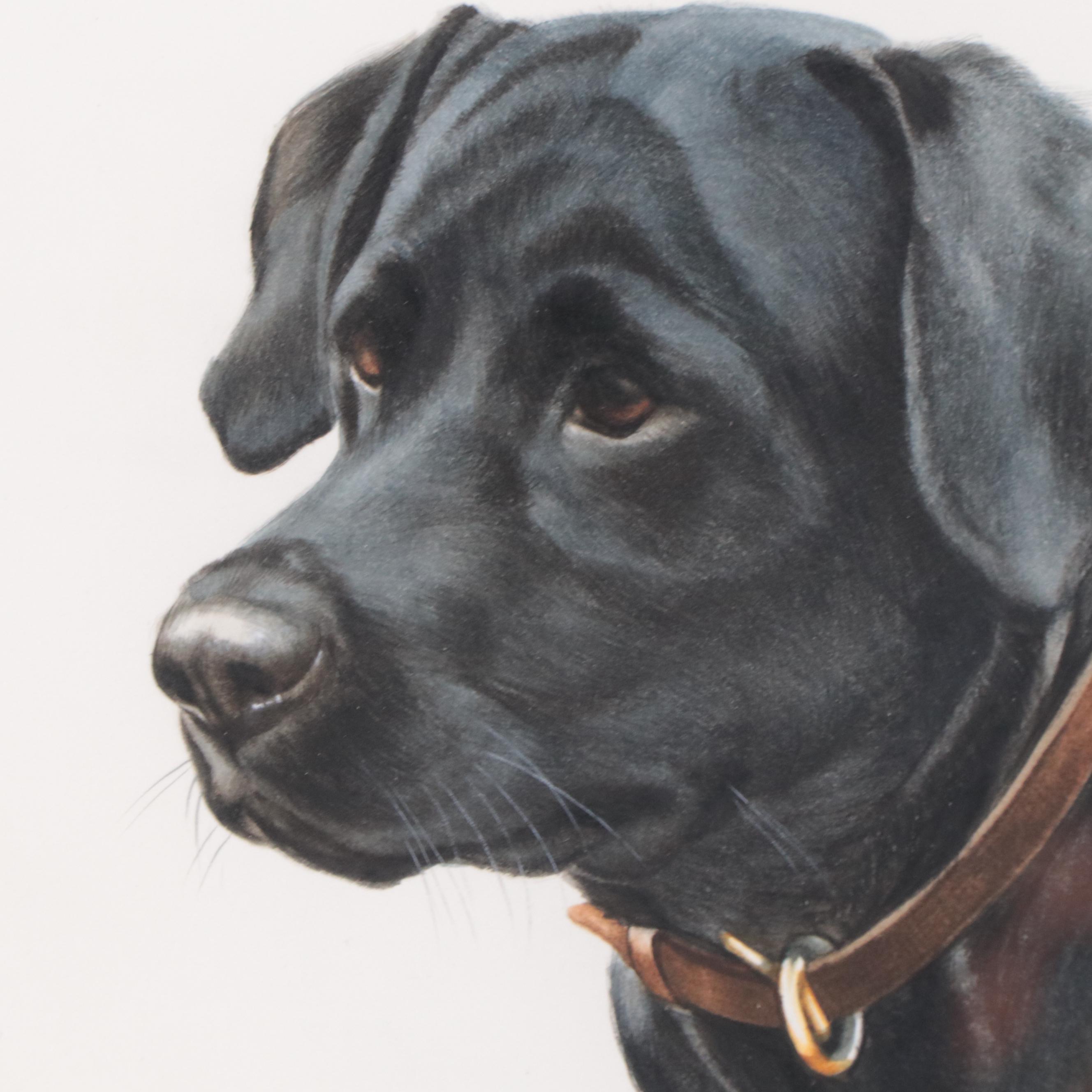 Heidi Lindy Watercolor Painting of Dog Portrait "Canaan"
