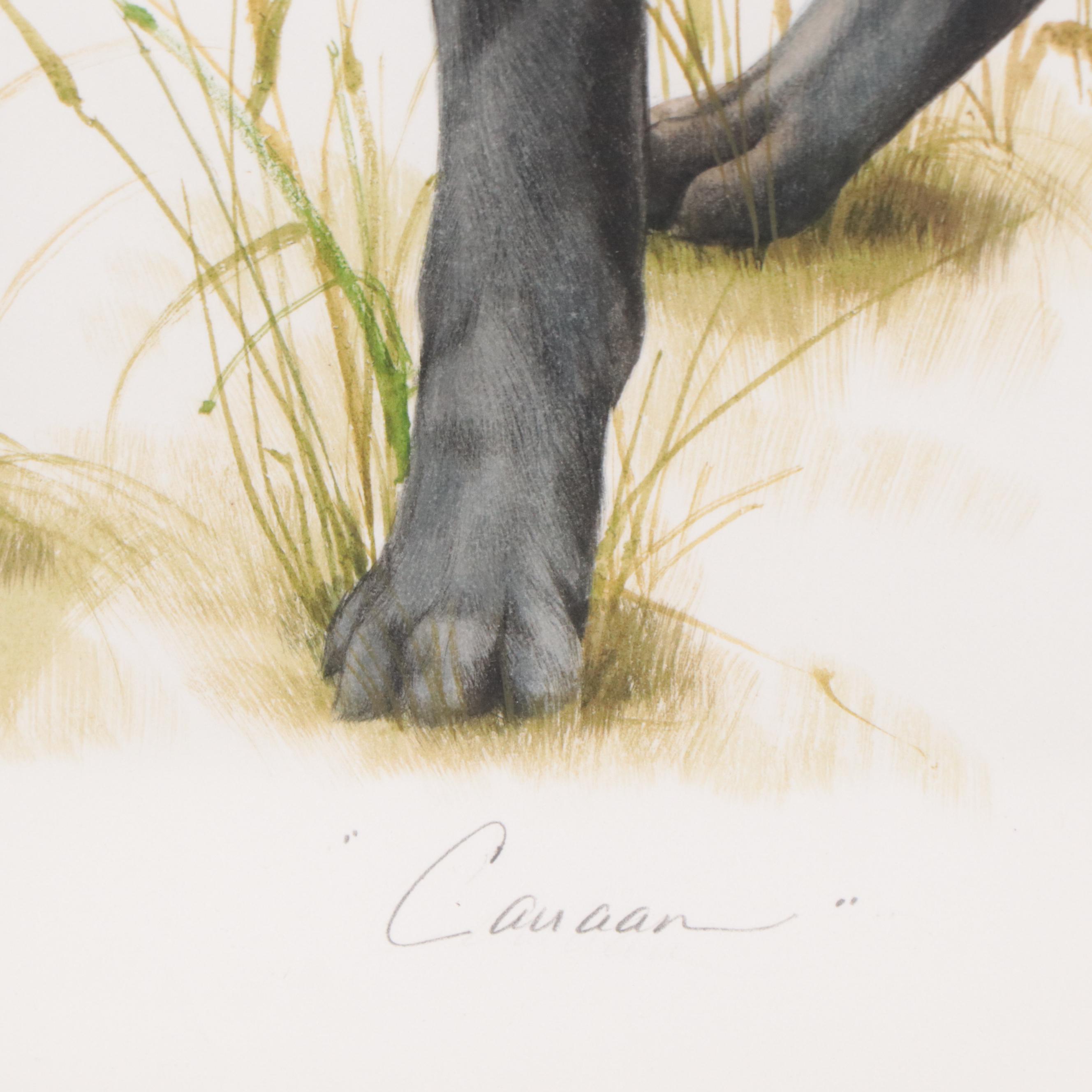 Heidi Lindy Watercolor Painting of Dog Portrait "Canaan"