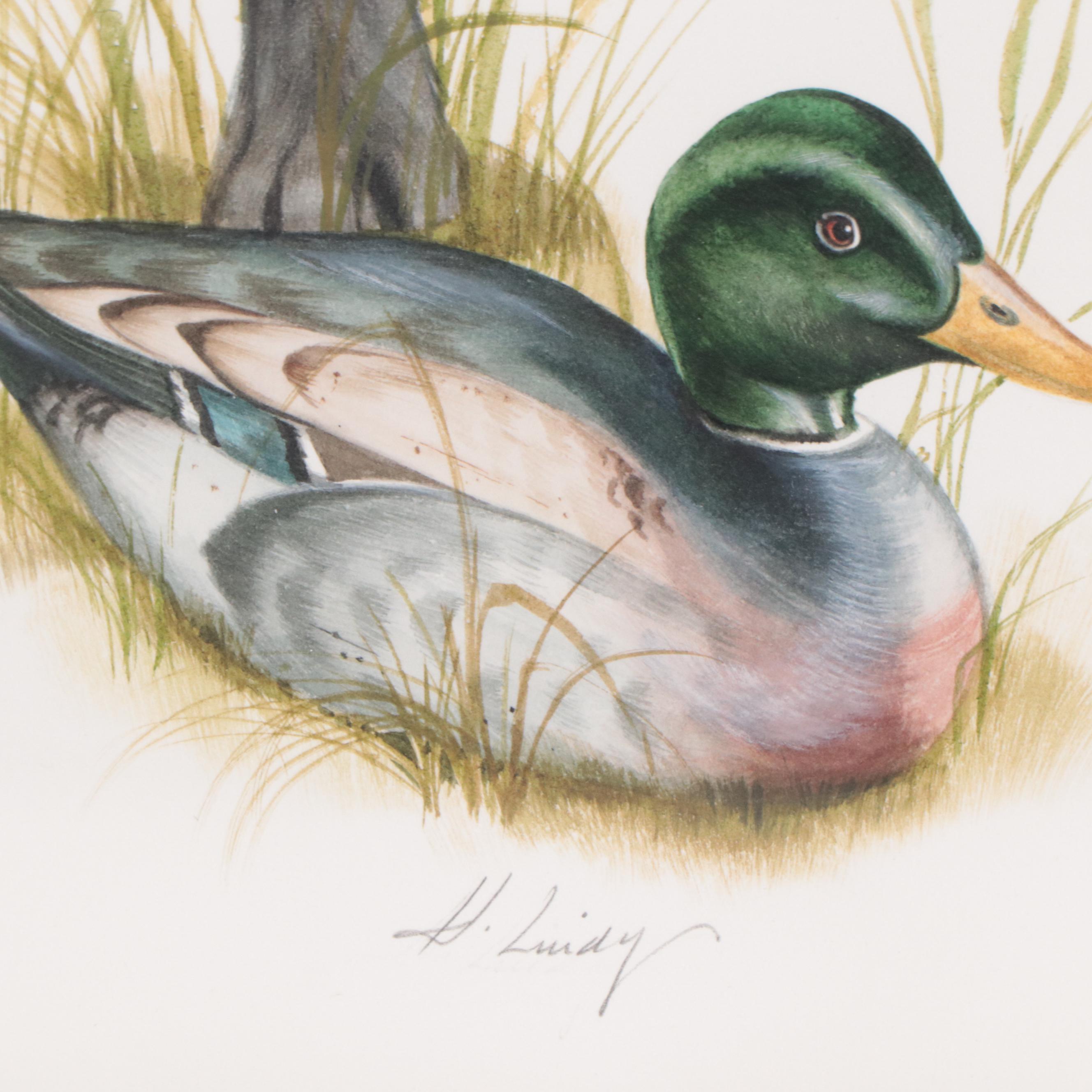 Heidi Lindy Watercolor Painting of Dog Portrait "Canaan"