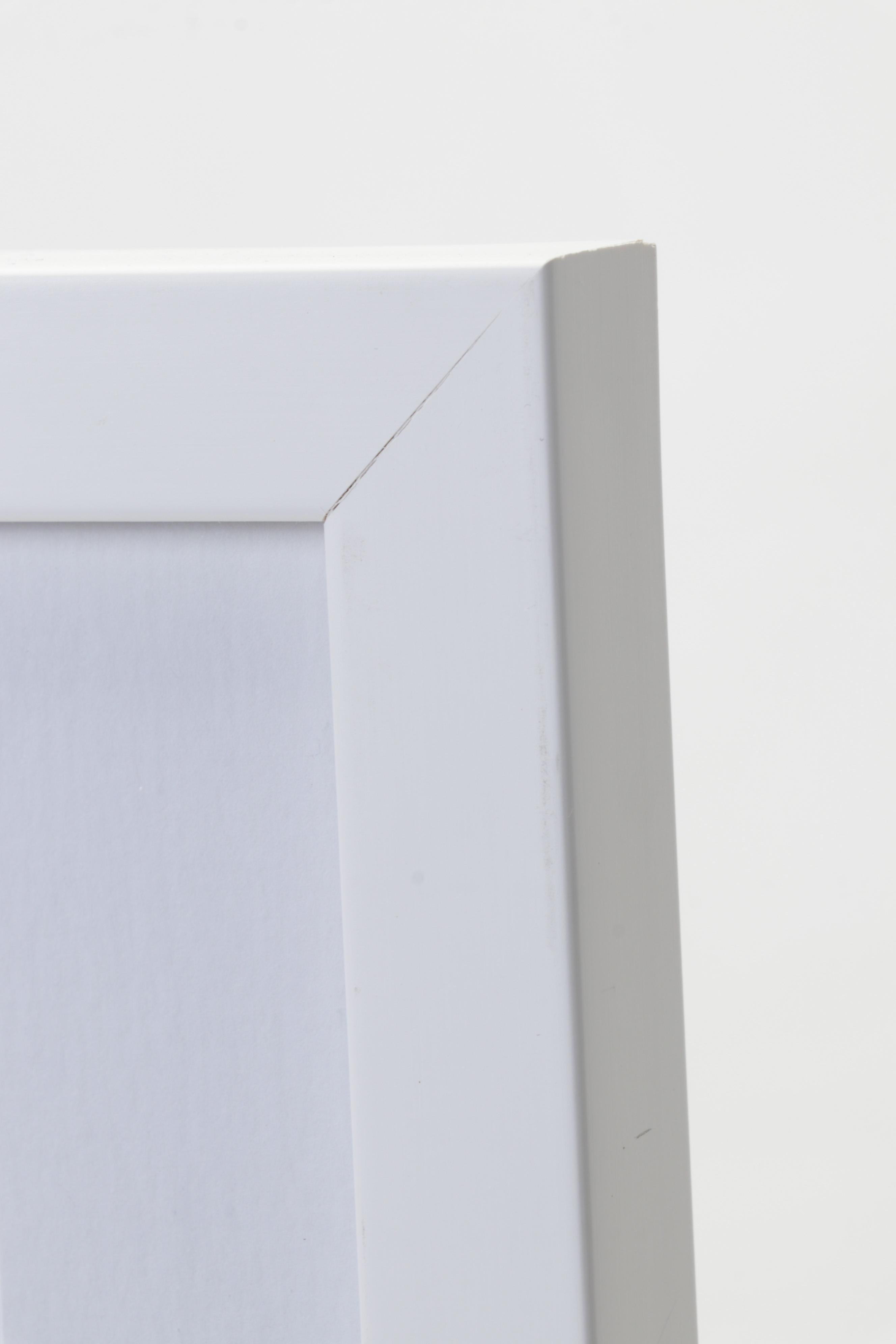 Offset Lithograph After Andy Warhol From "25 Cats Name Sam and One Blue Pussy"