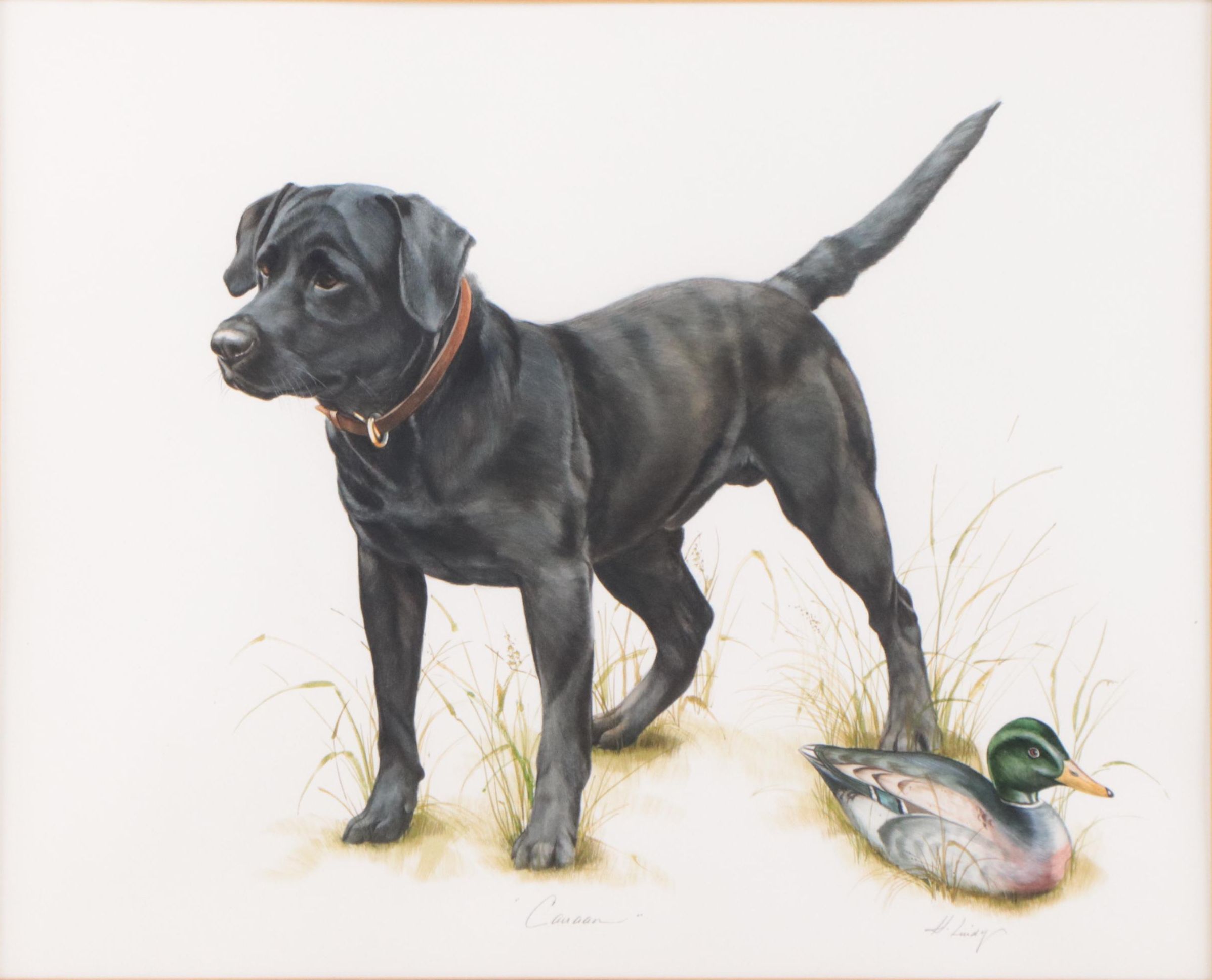 Heidi Lindy Watercolor Painting of Dog Portrait "Canaan"