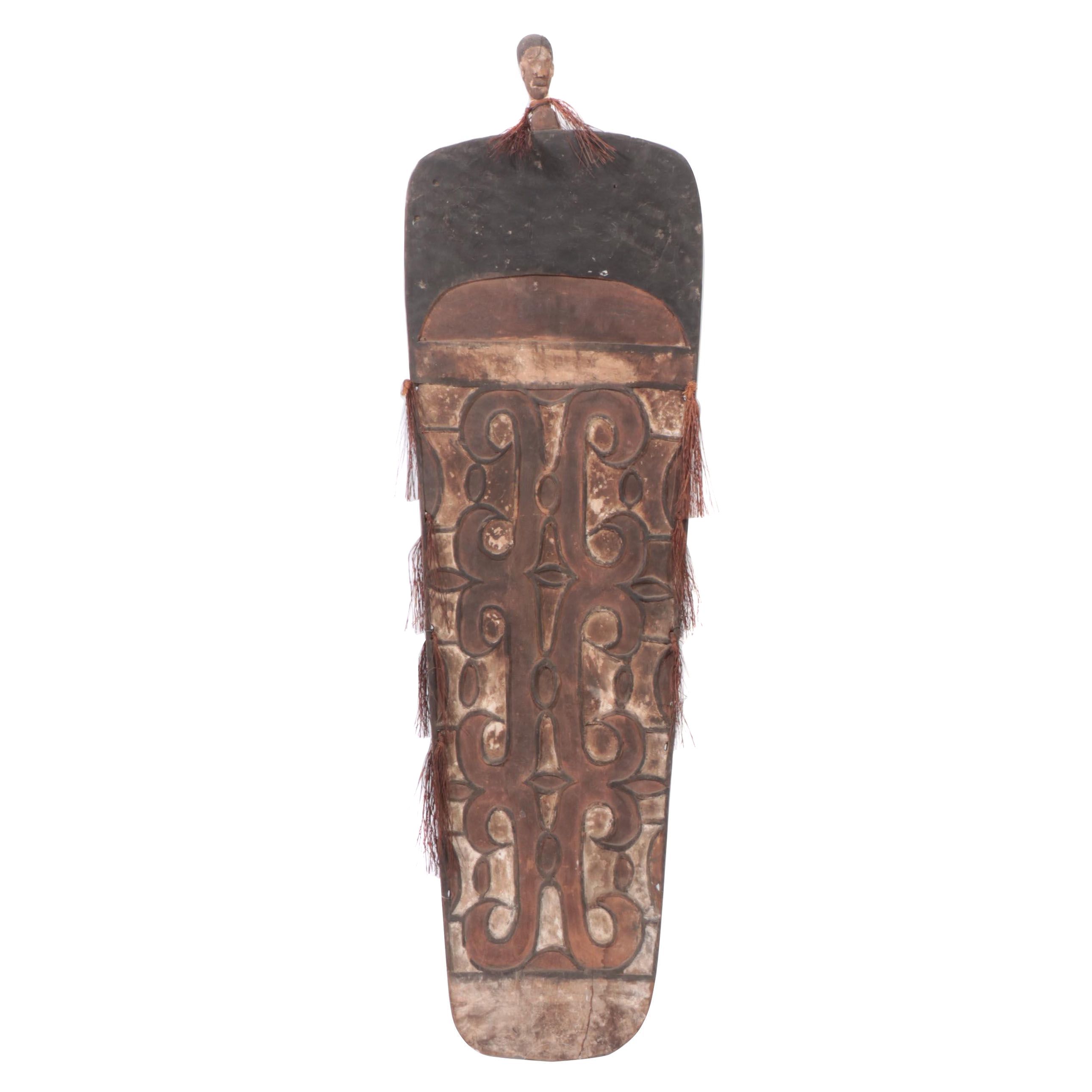 Asmat War Shield Polychrome Hand-Carved Wood, Papua New Guinea