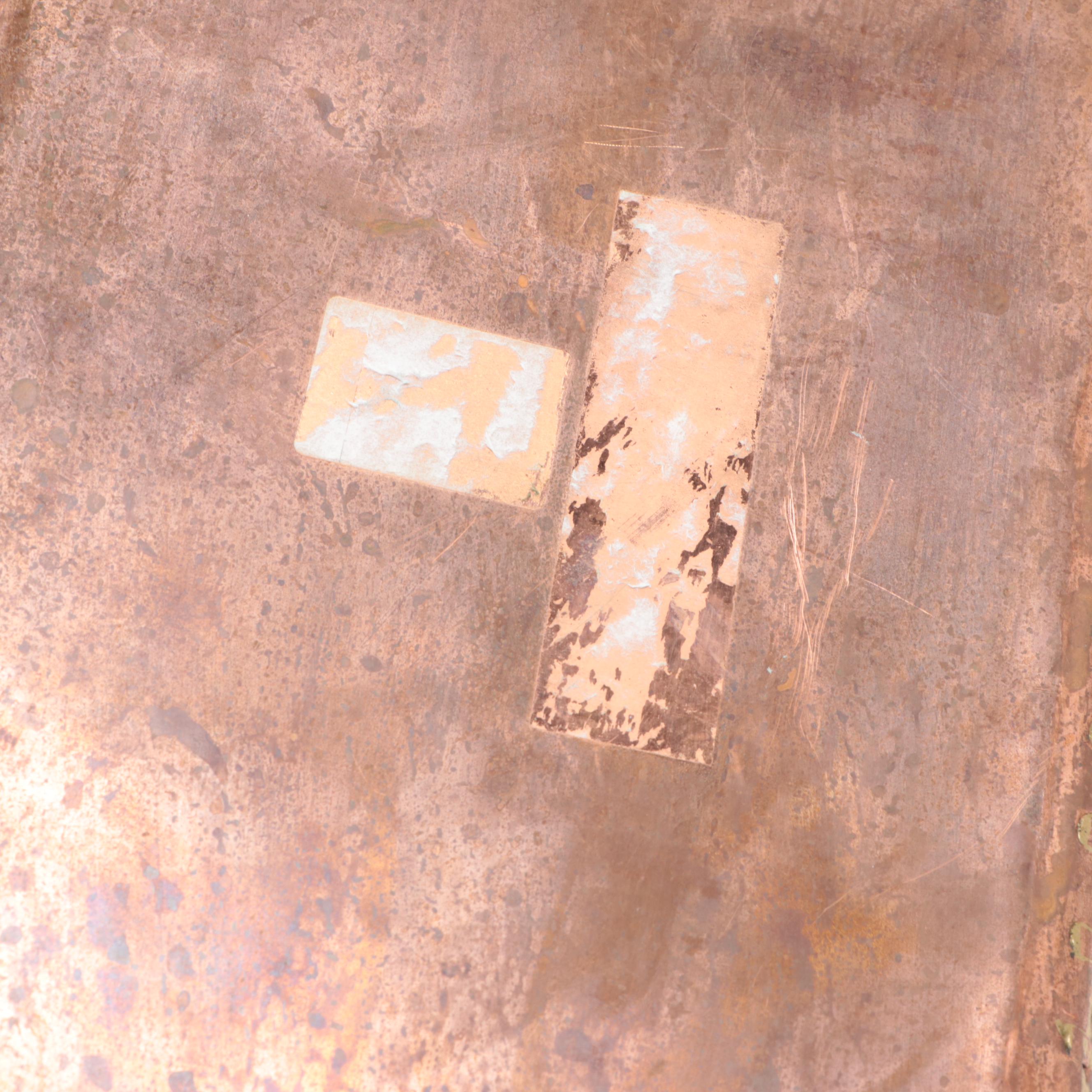 Copper Fish Poacher Pans, 20th Century