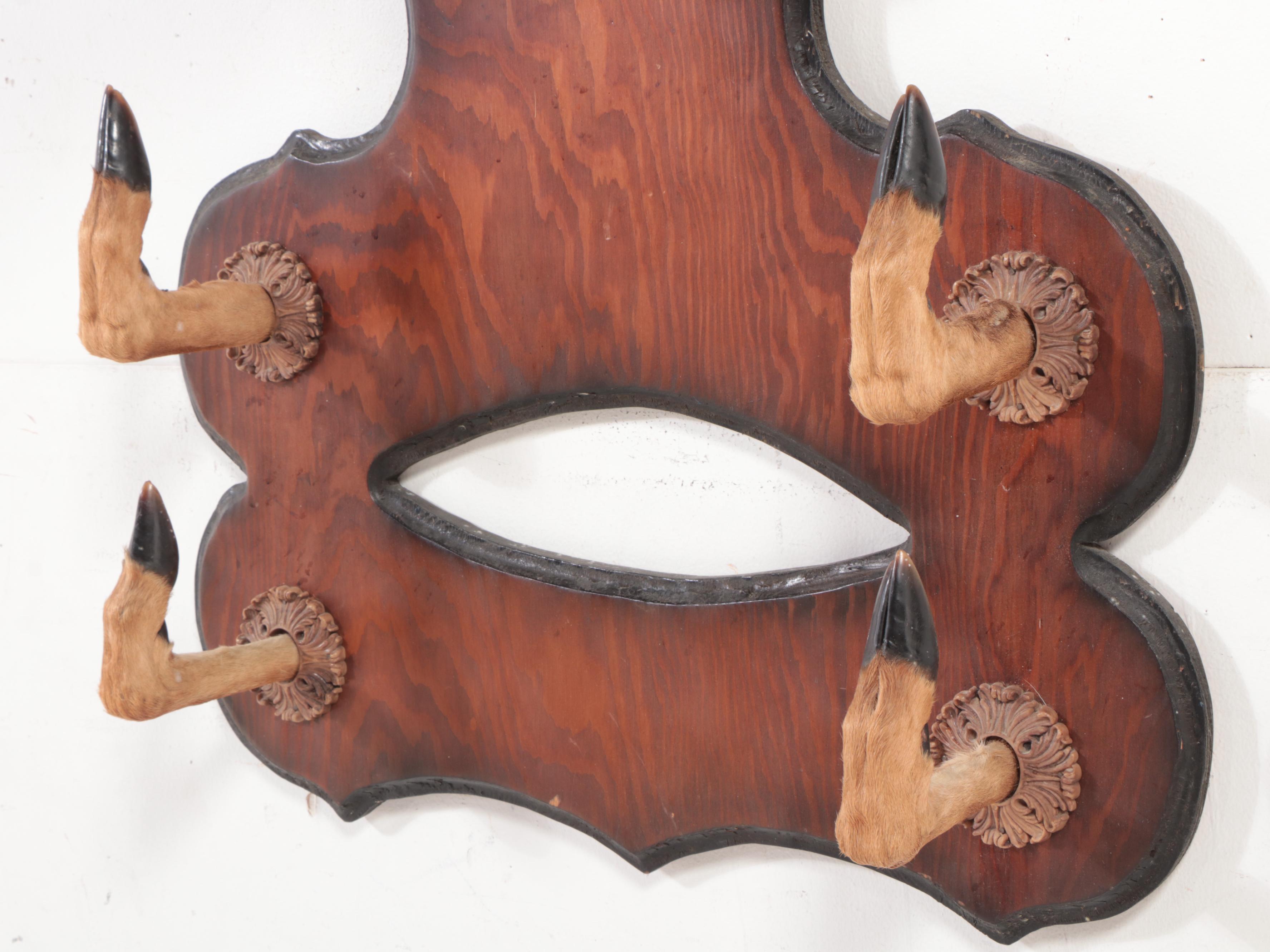 Taxidermy White Tailed Deer Mount With Hooves Double Gun Rack