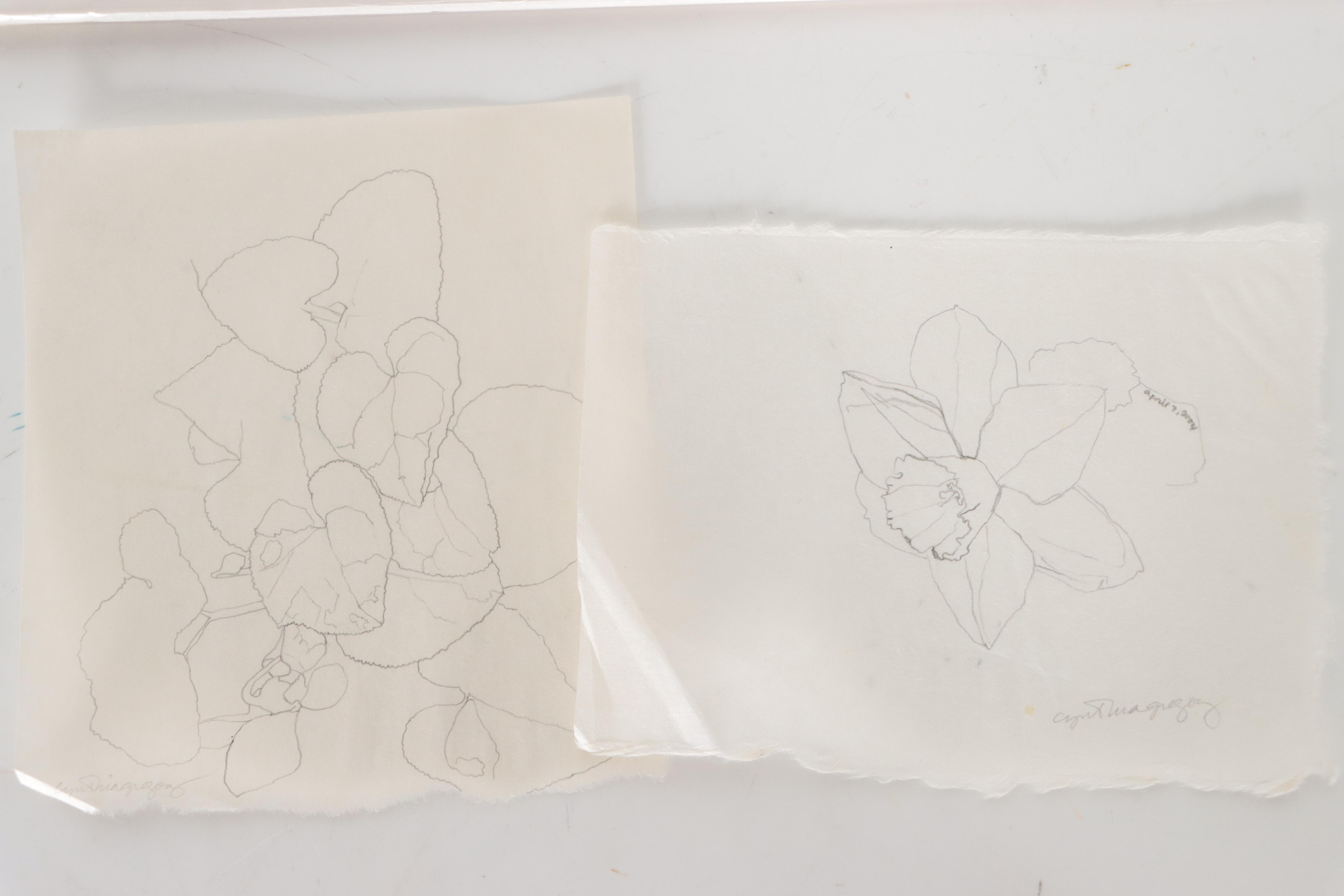 Cynthia Gregory Assorted Floral Graphite Drawings Including "Forsythia," 2002