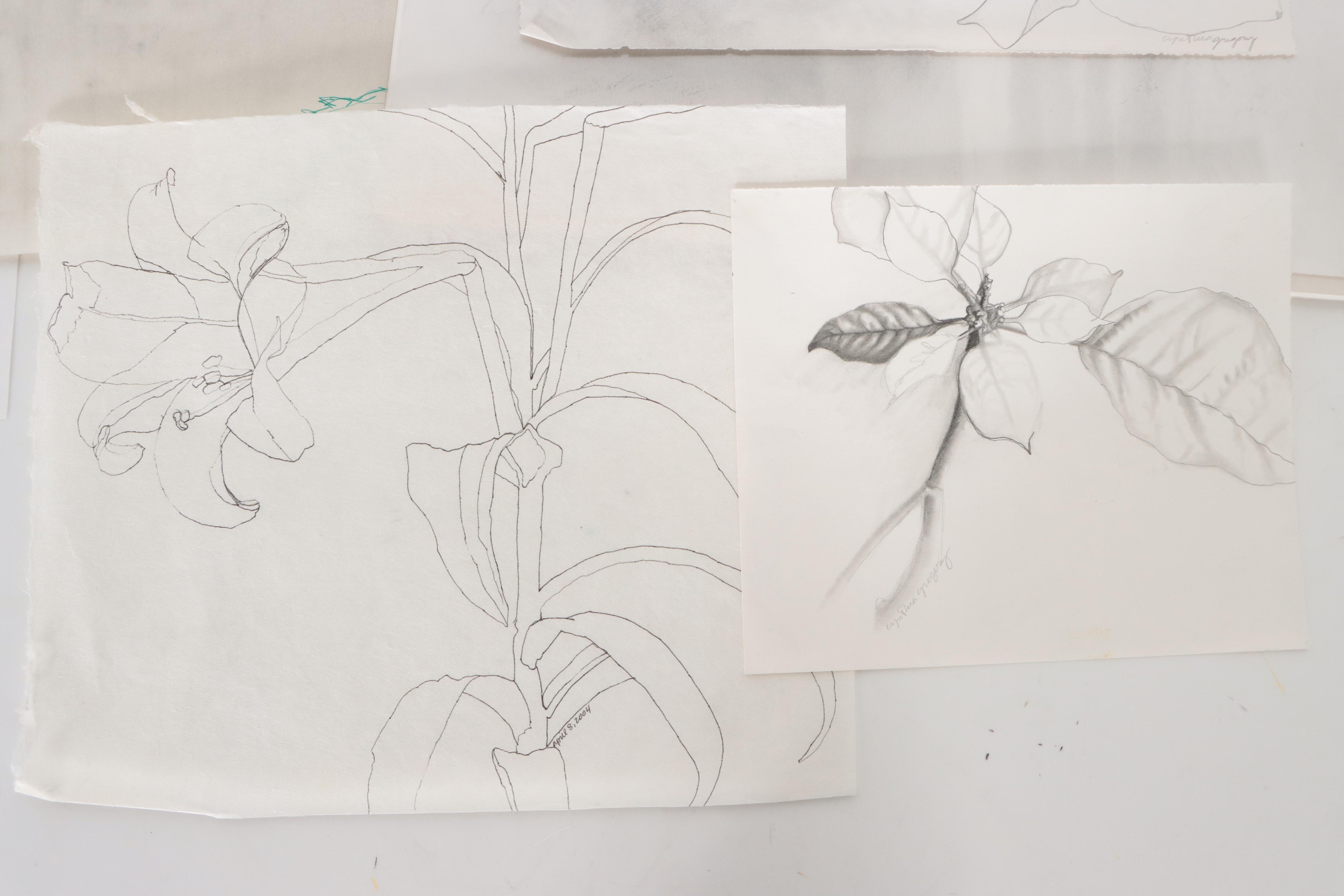 Cynthia Gregory Assorted Floral Graphite Drawings Including "Forsythia," 2002