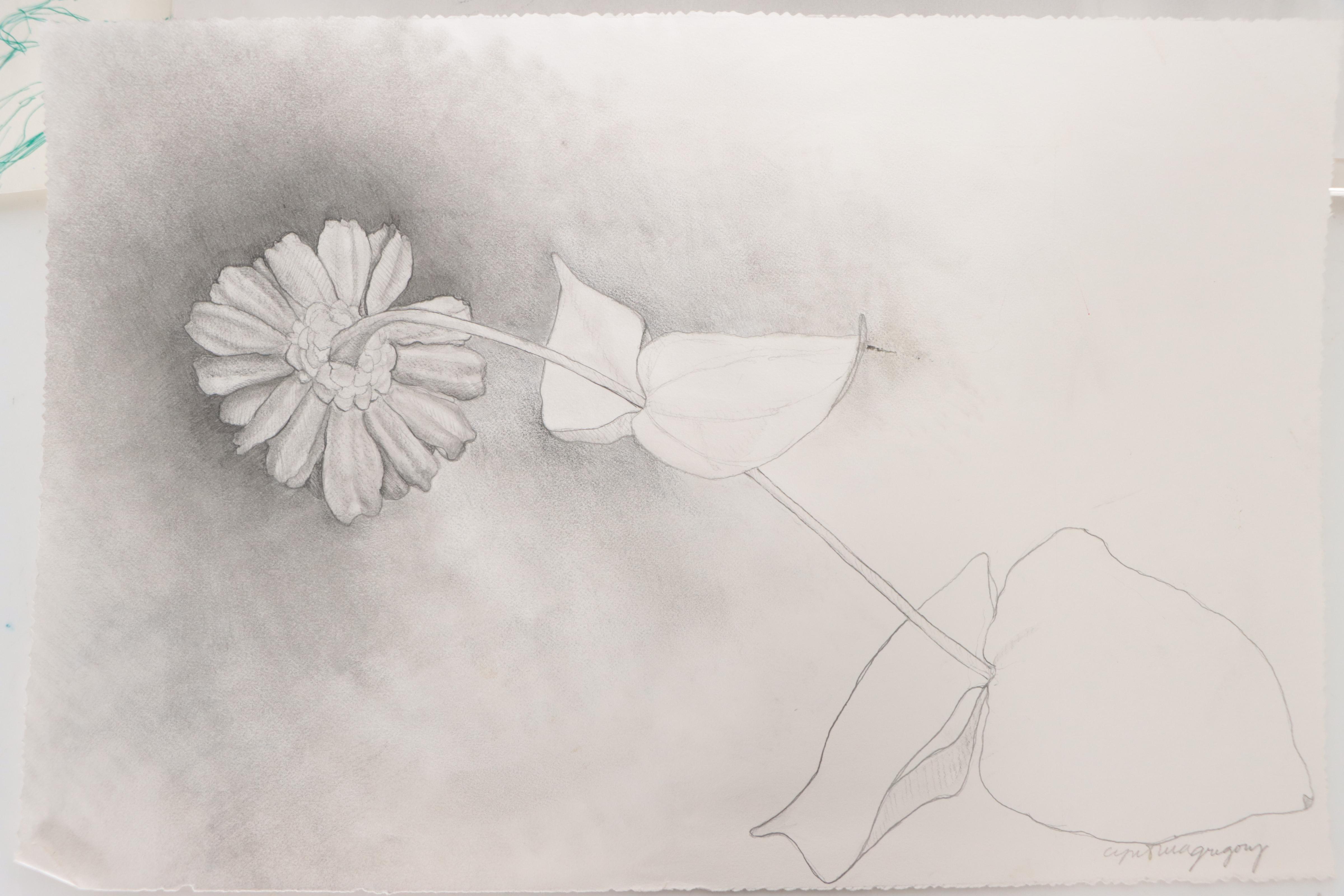 Cynthia Gregory Assorted Floral Graphite Drawings Including "Forsythia," 2002