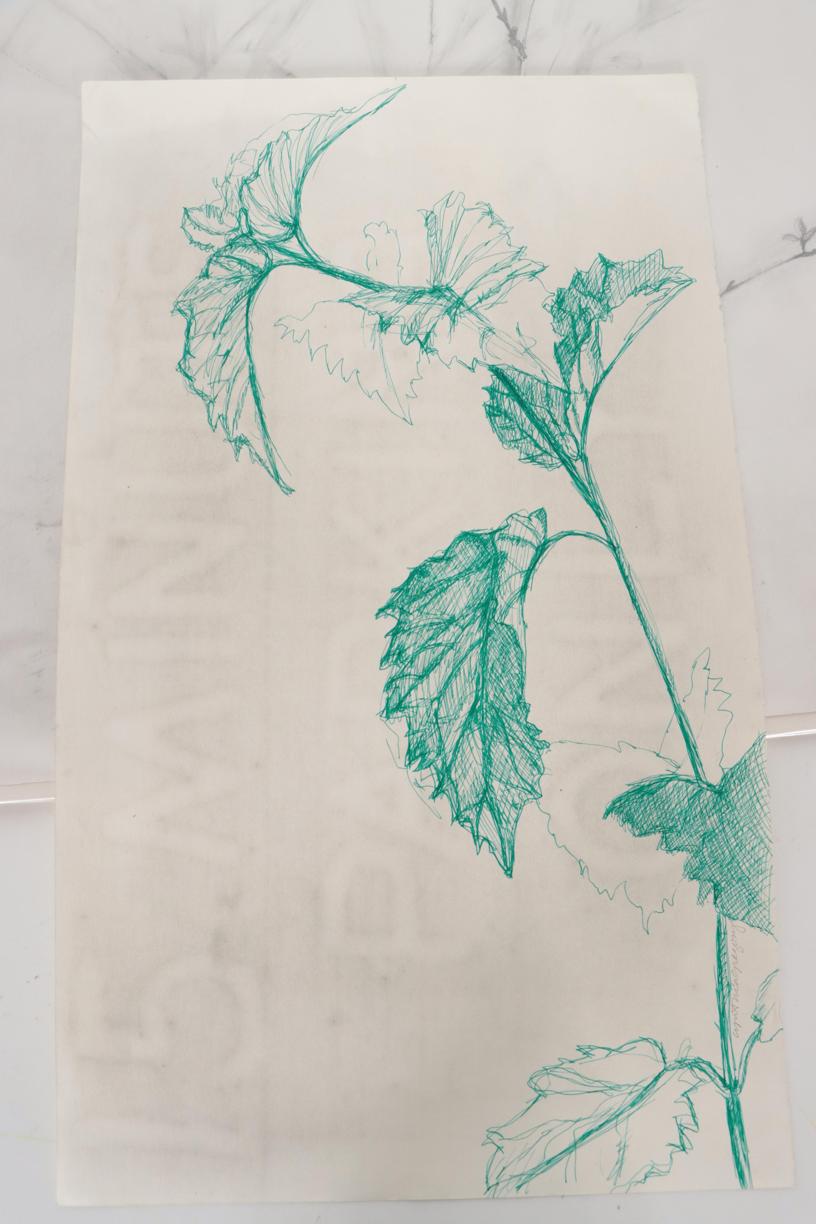 Cynthia Gregory Assorted Floral Graphite Drawings Including "Forsythia," 2002