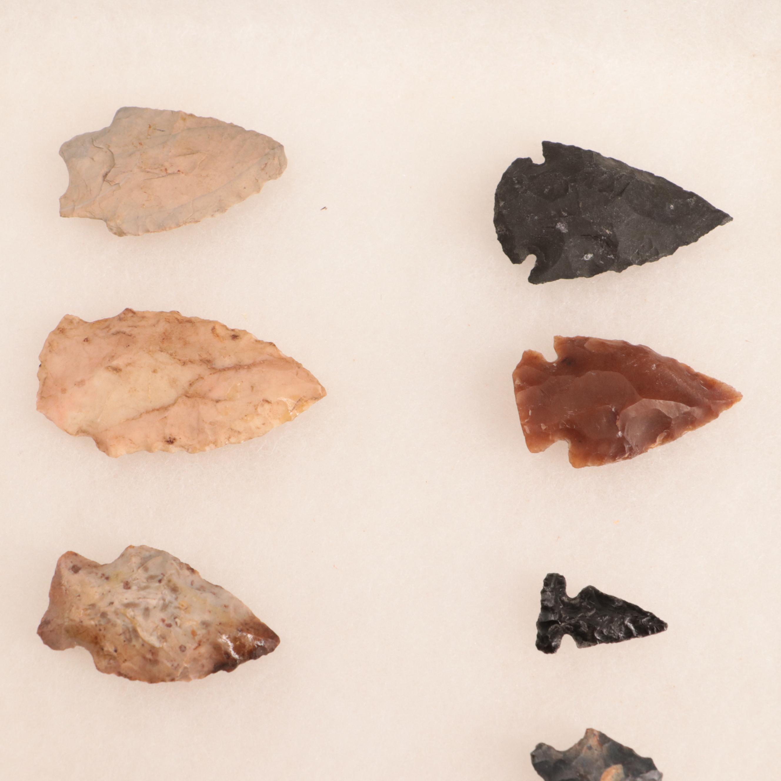 Twelve Stone Projectile Points in Display Case