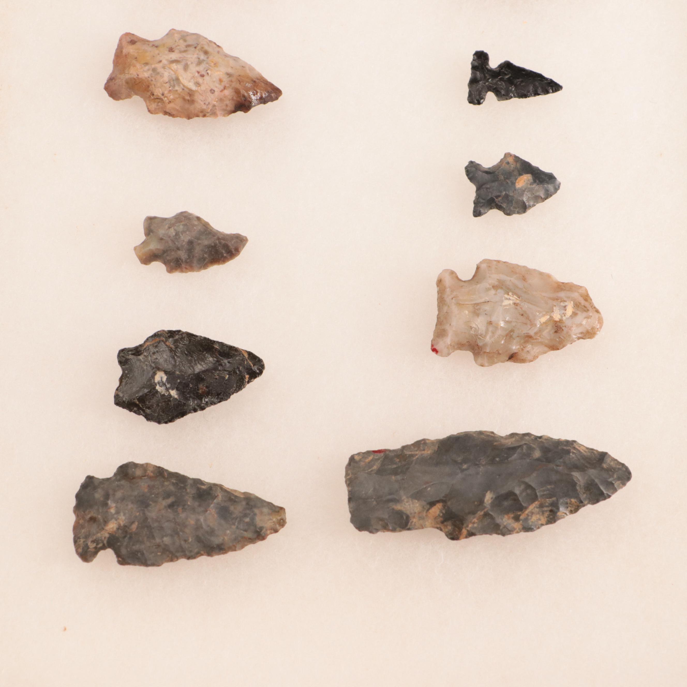 Twelve Stone Projectile Points in Display Case