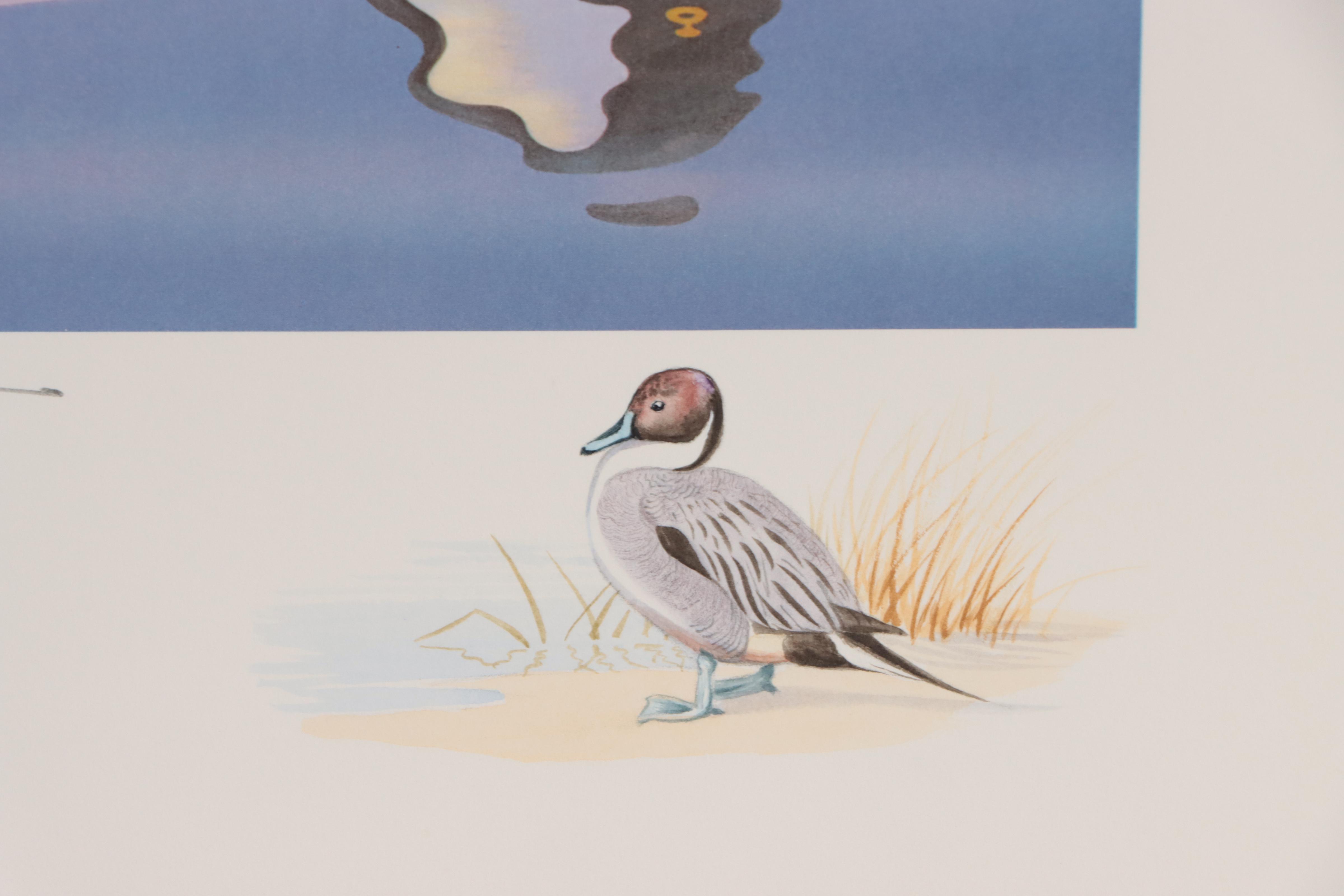Waterfowl Themed Offset Lithographs With Hand-Painted Remarques