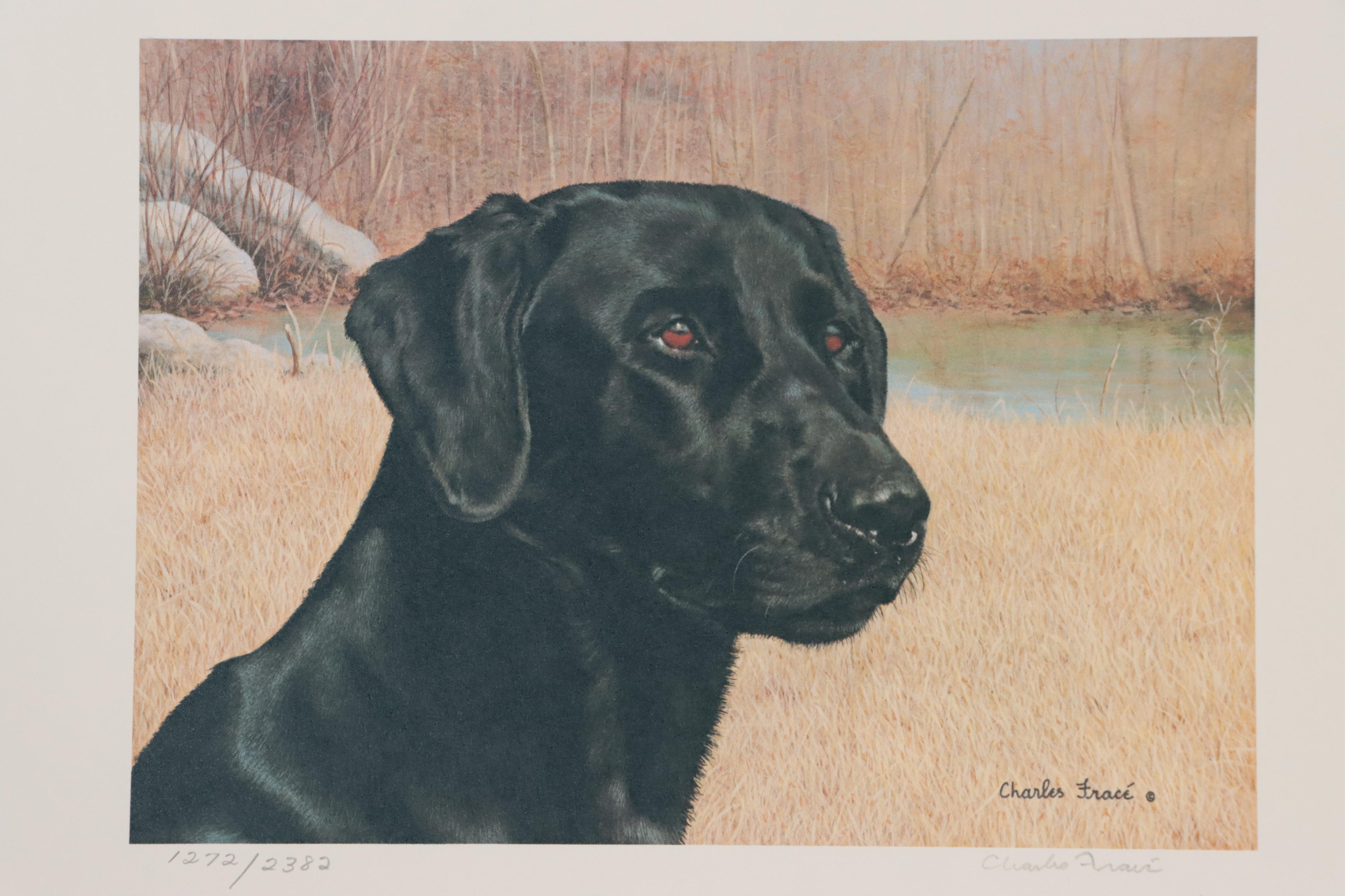 National Retriever Club Offset Lithographs and Postage Stamps, 1980s