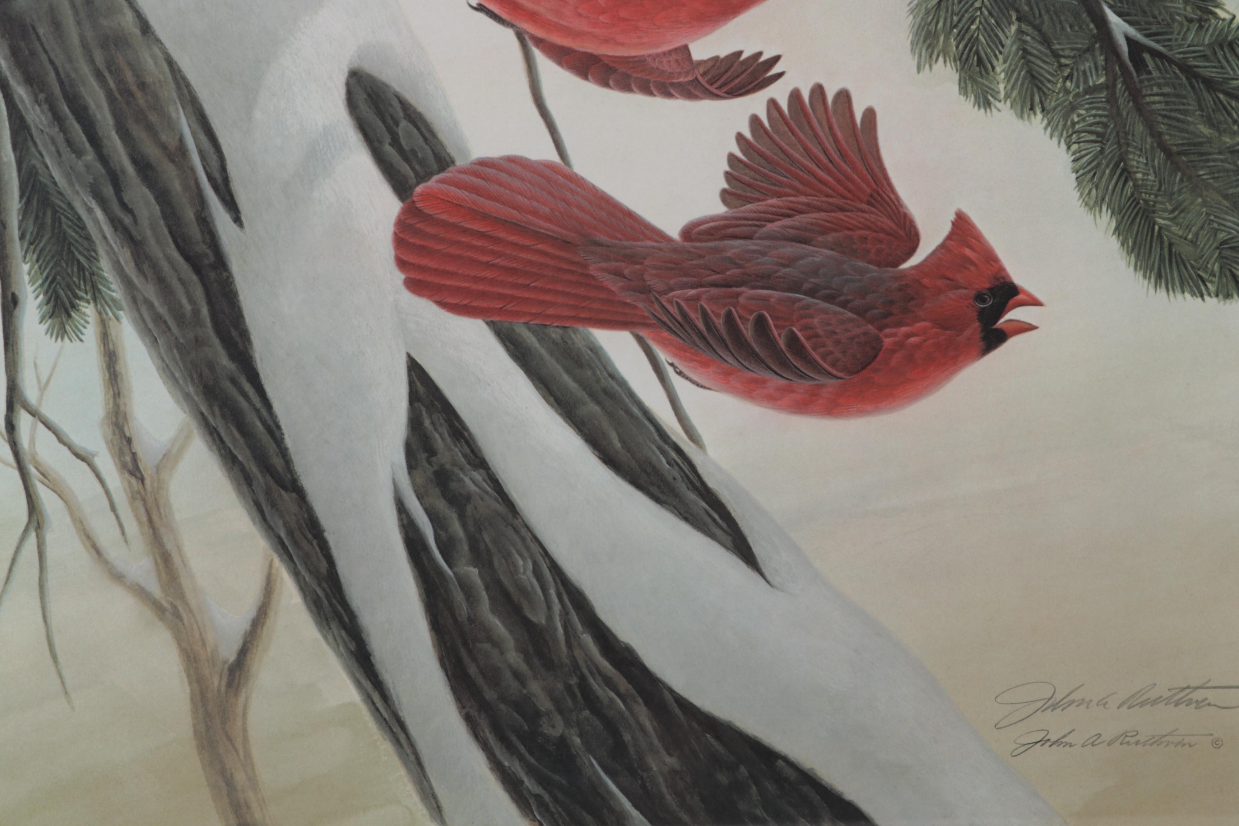 John Ruthven Offset Lithograph "Cardinal," Circa 1978