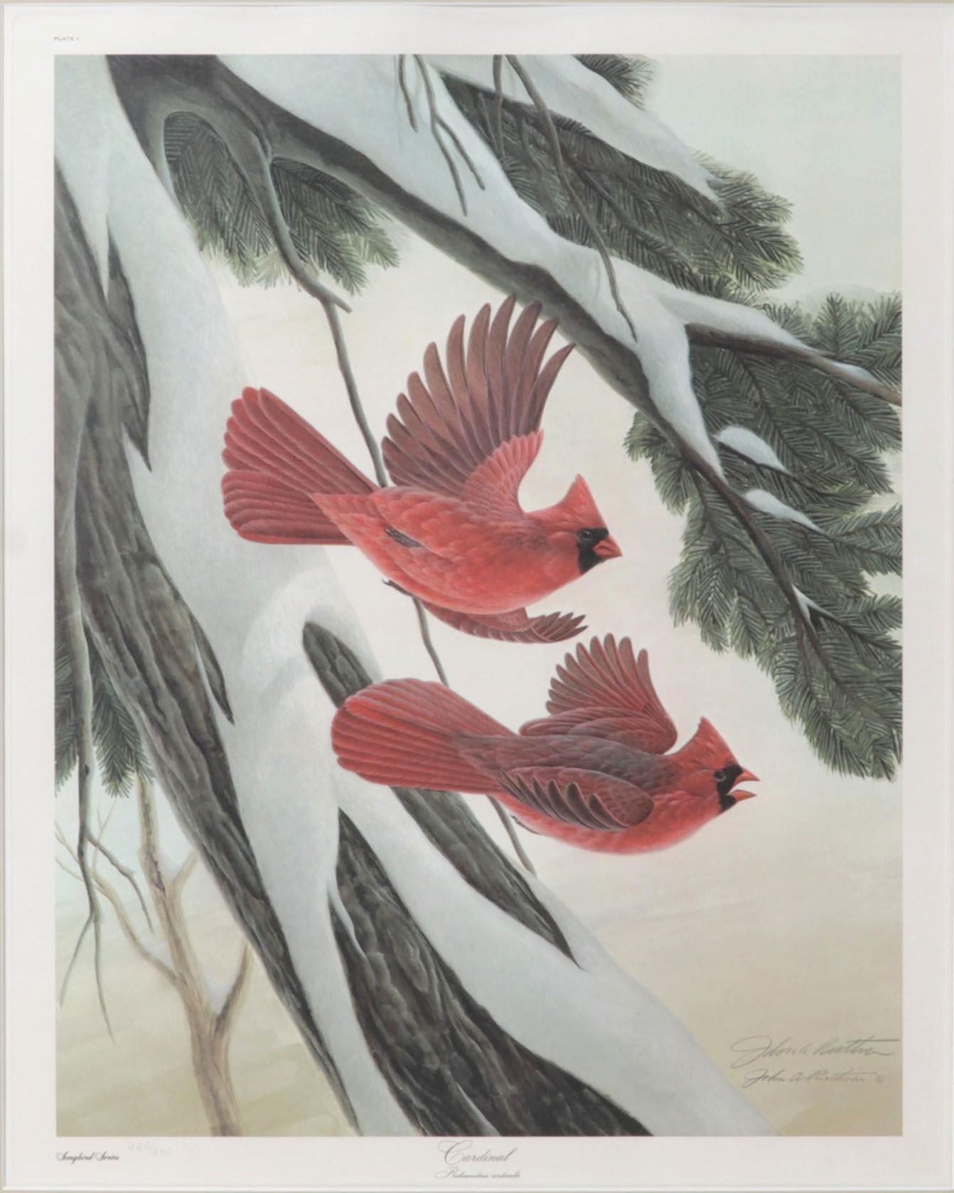 John Ruthven Offset Lithograph "Cardinal," Circa 1978