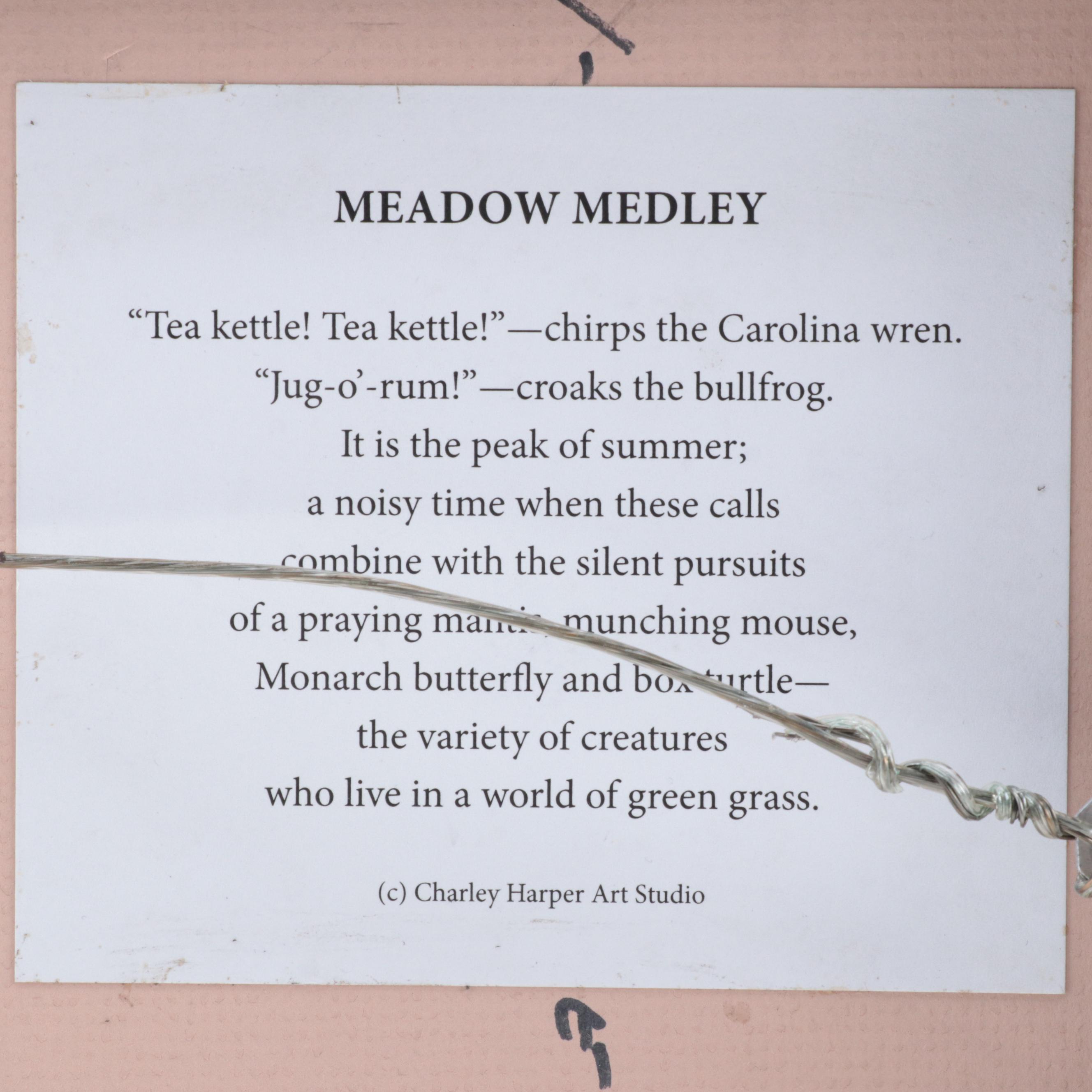 Offset Lithograph After Charley Harper "Meadow Medley," Late 20th Century