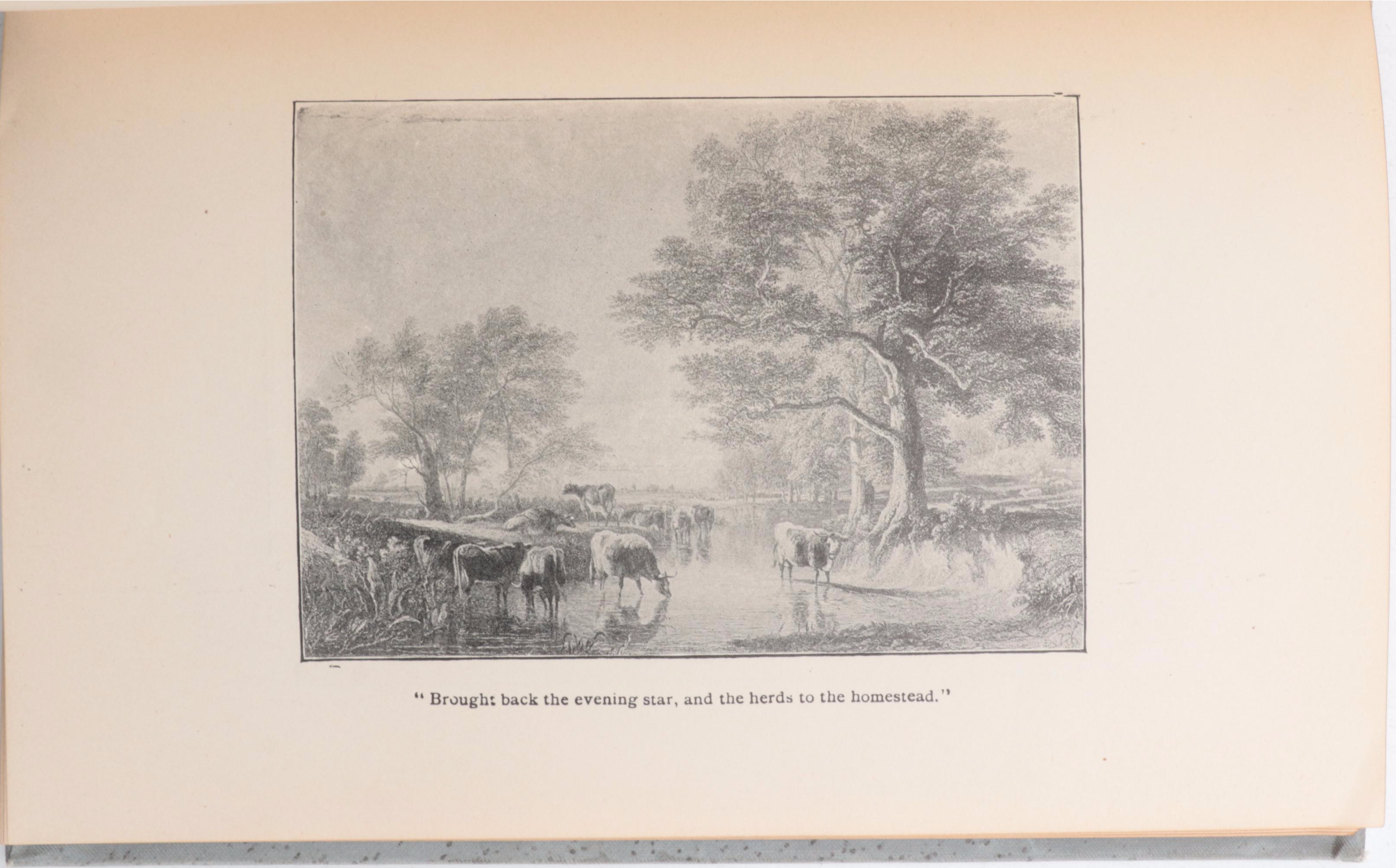Illustrated "Evangeline" by Longfellow with Shakespeare, Emerson, and More