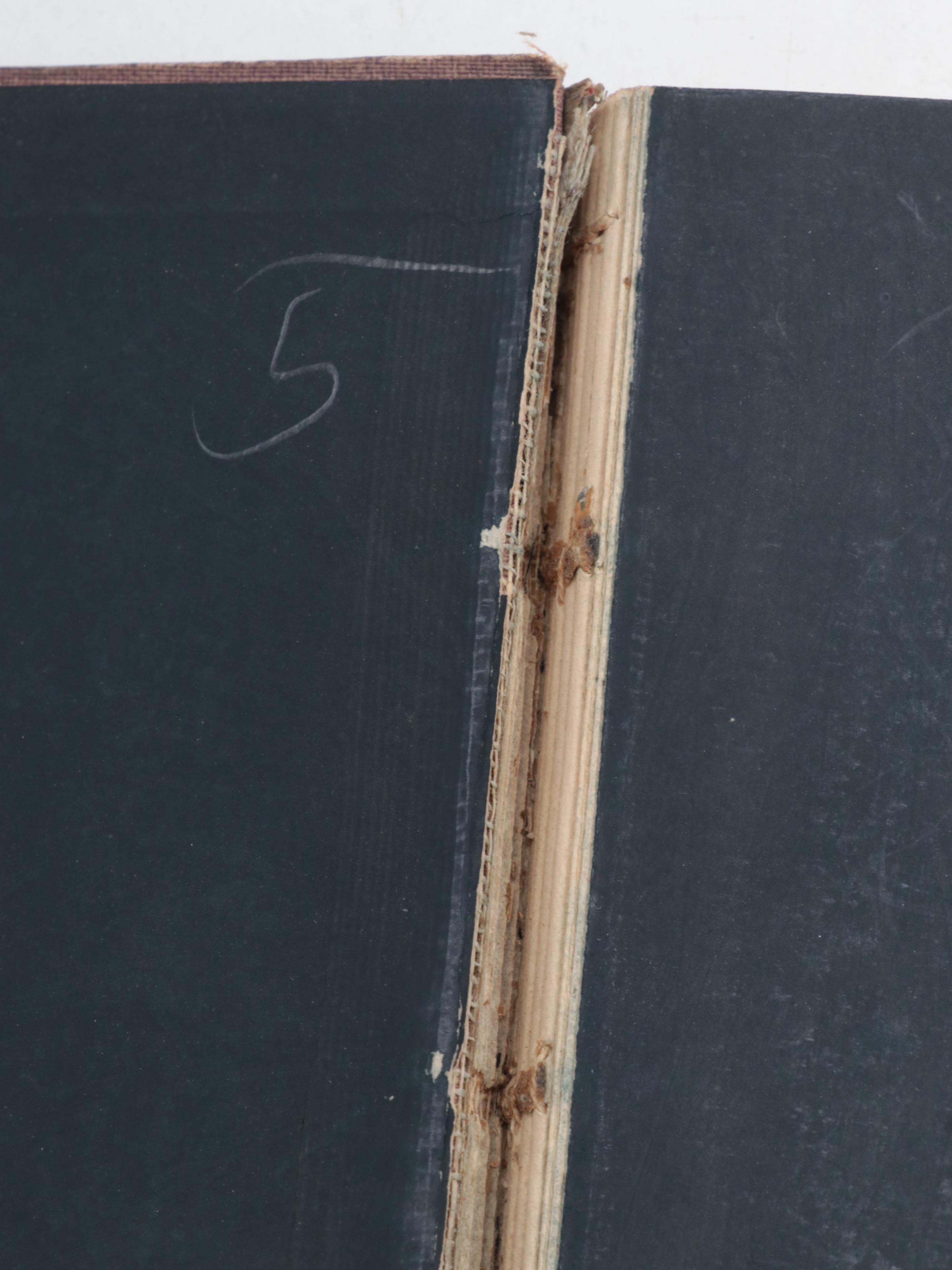 Illustrated "Evangeline" by Longfellow with Shakespeare, Emerson, and More