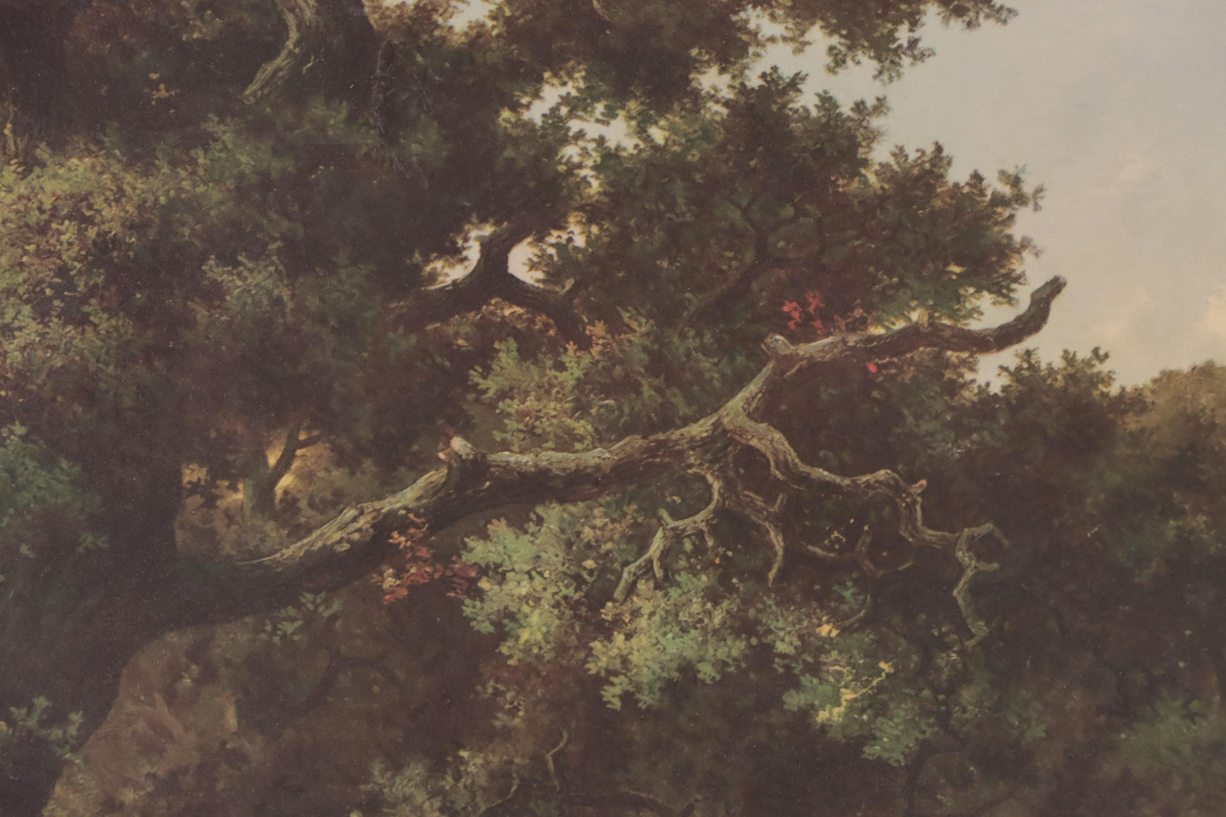 Offset Lithograph of Forest, Late 20th Century