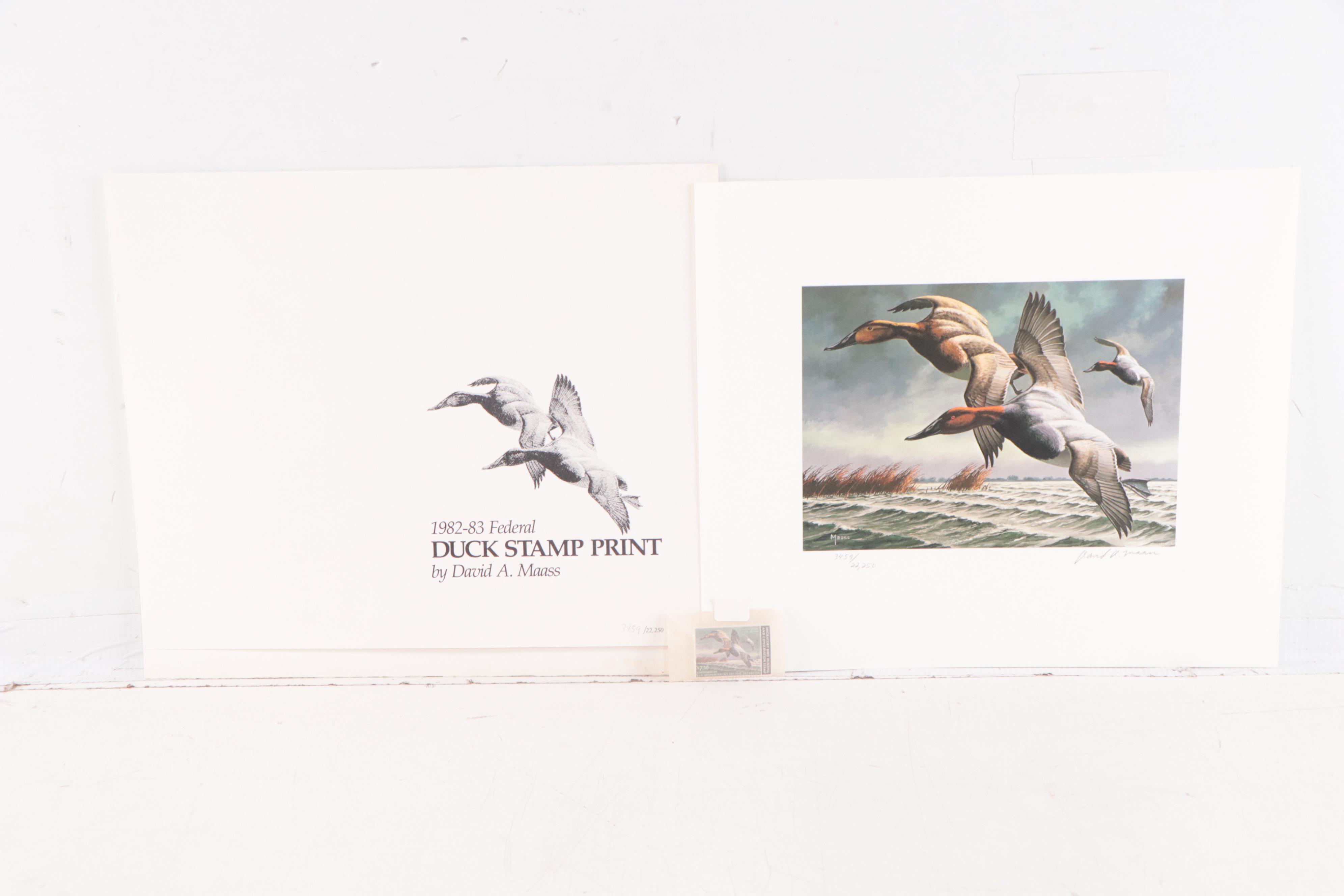 Federal Duck Stamp Offset Lithographs With Medallions