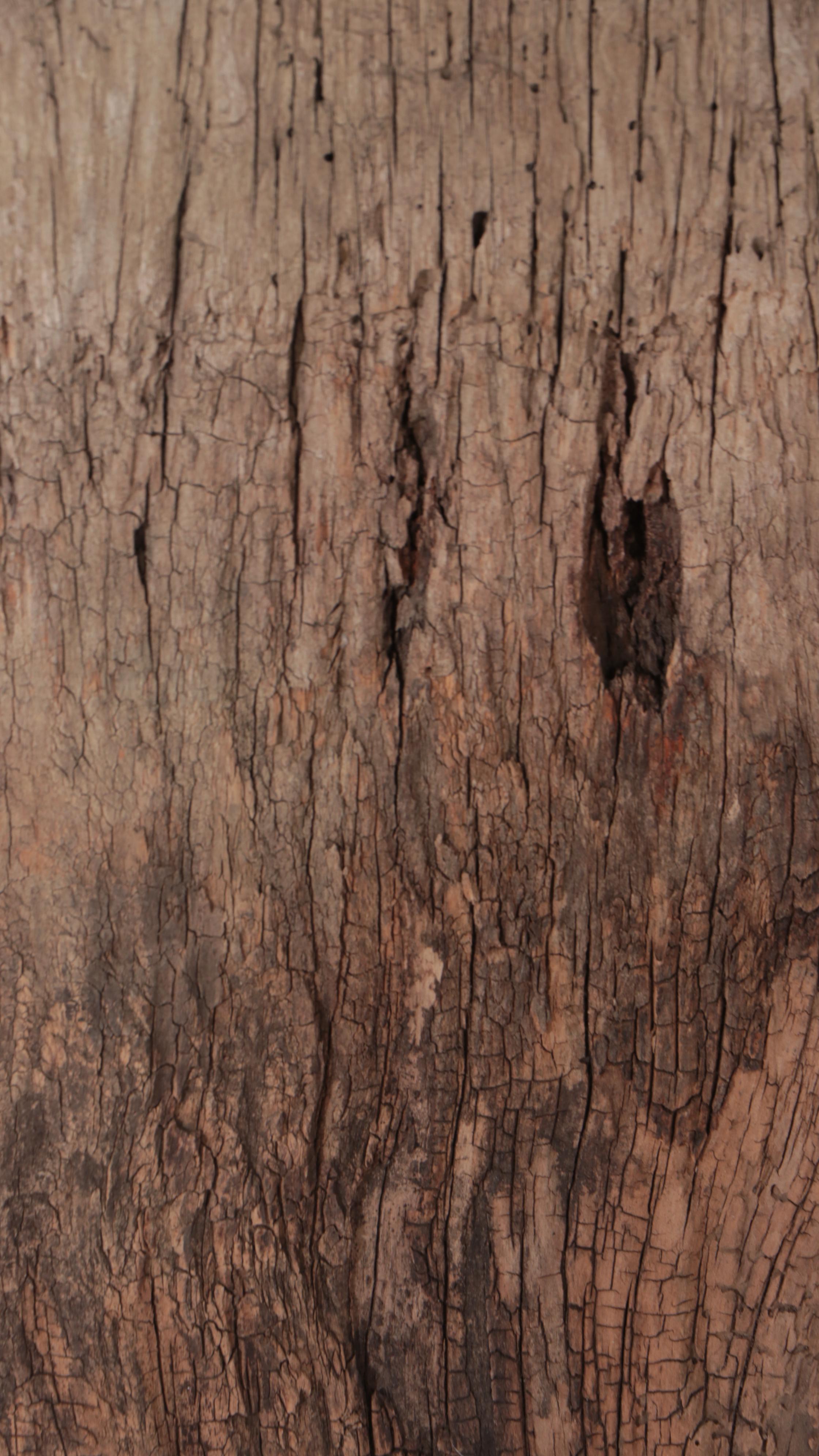 Bontoc Pine Hut Post, North Luzon Island, Philippines, Mid-20th C