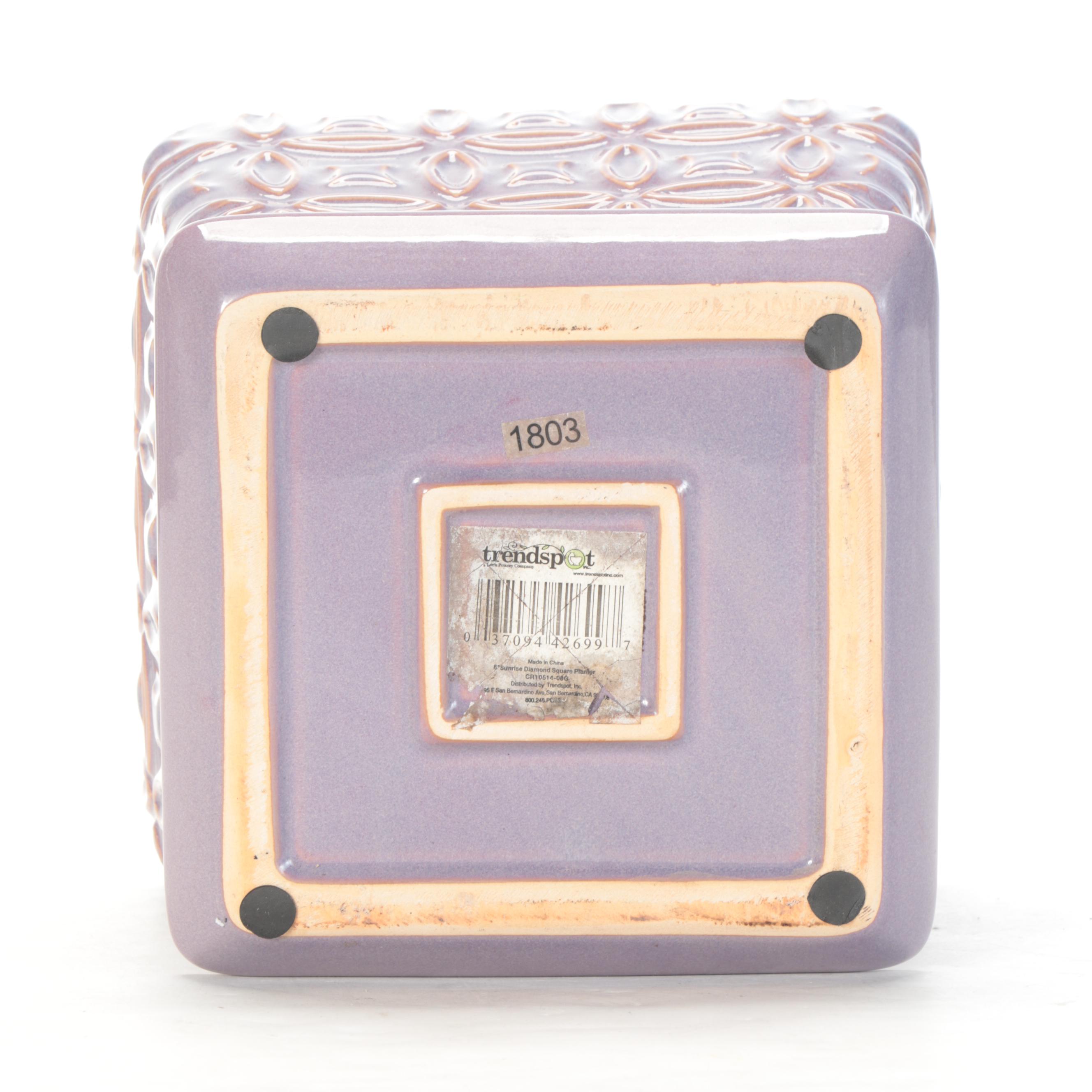 Painted Distressed Wooden Tray with Earthenware Planters