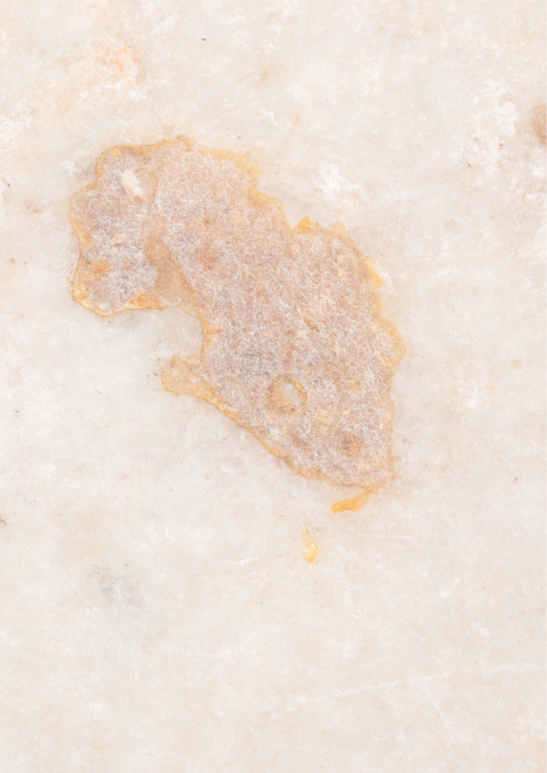 Indian Marble Chipati Bread Dough Plate, 19th Century