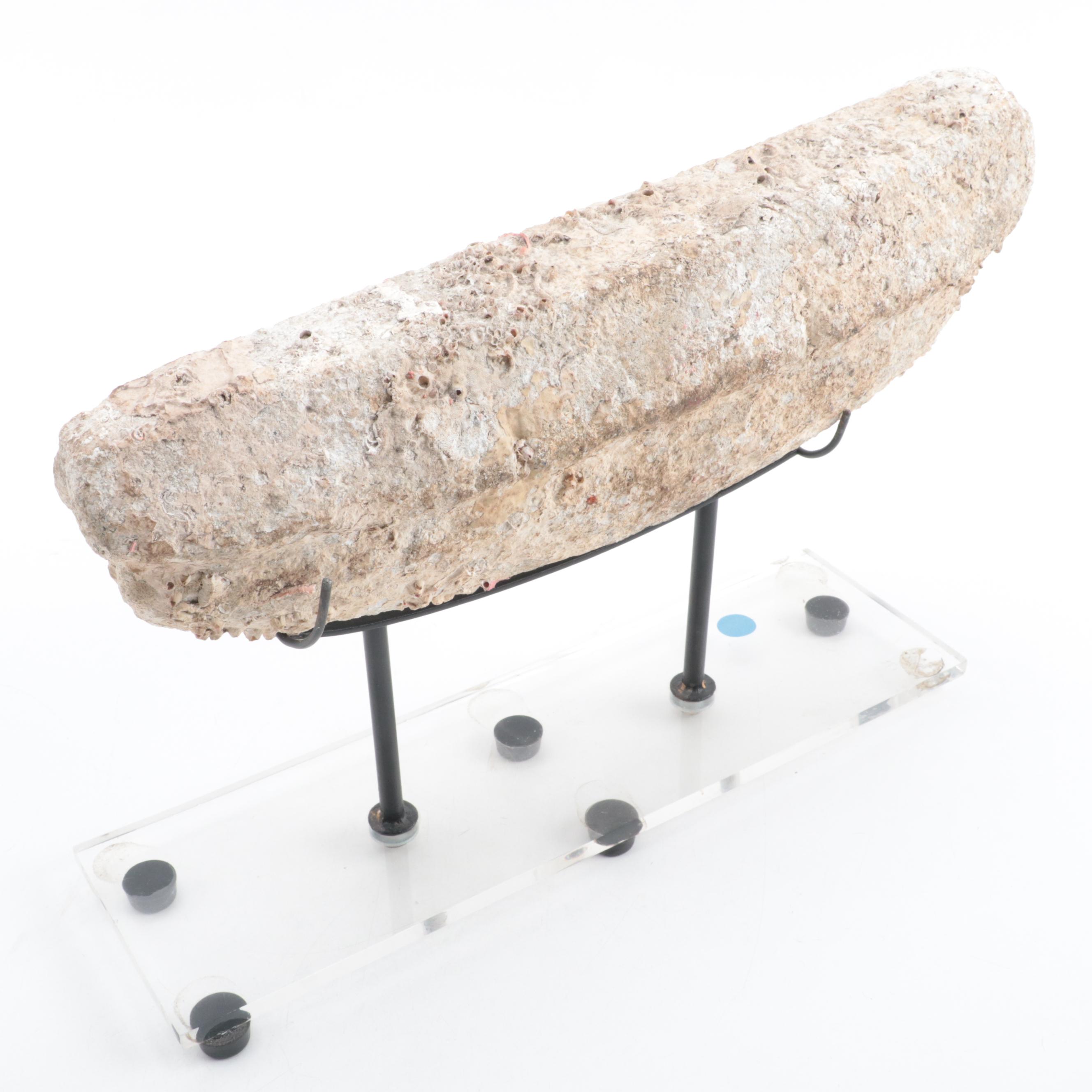 Chinese Marine Recovered Stone and Coral Boat Weight, 11th Century