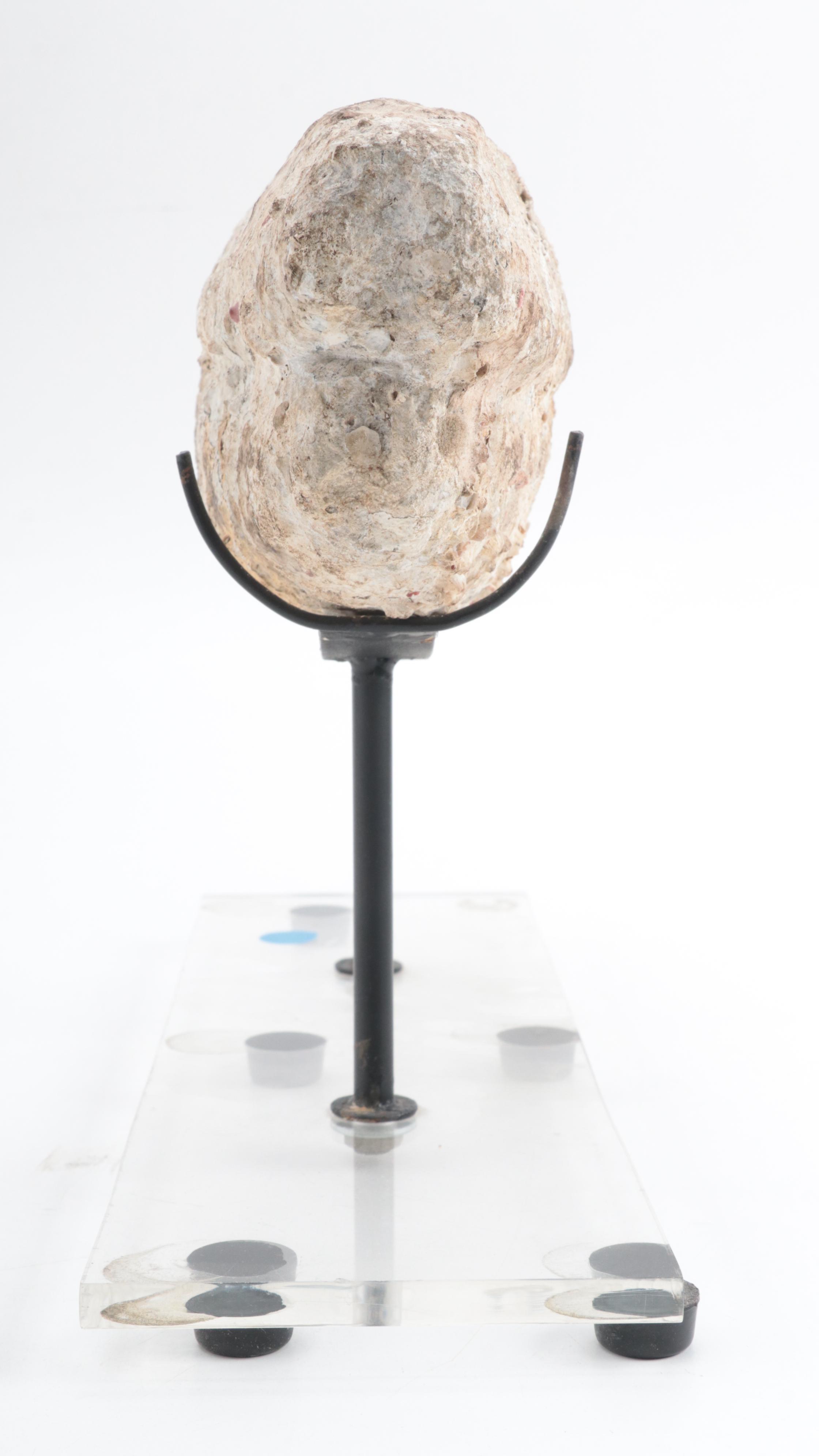 Chinese Marine Recovered Stone and Coral Boat Weight, 11th Century