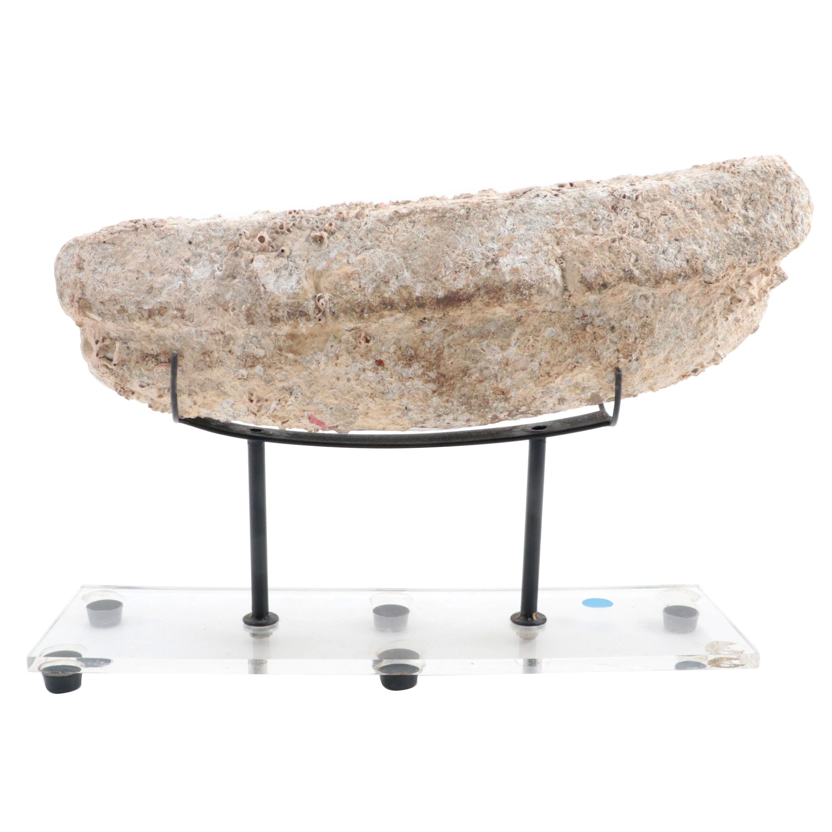 Chinese Marine Recovered Stone and Coral Boat Weight, 11th Century