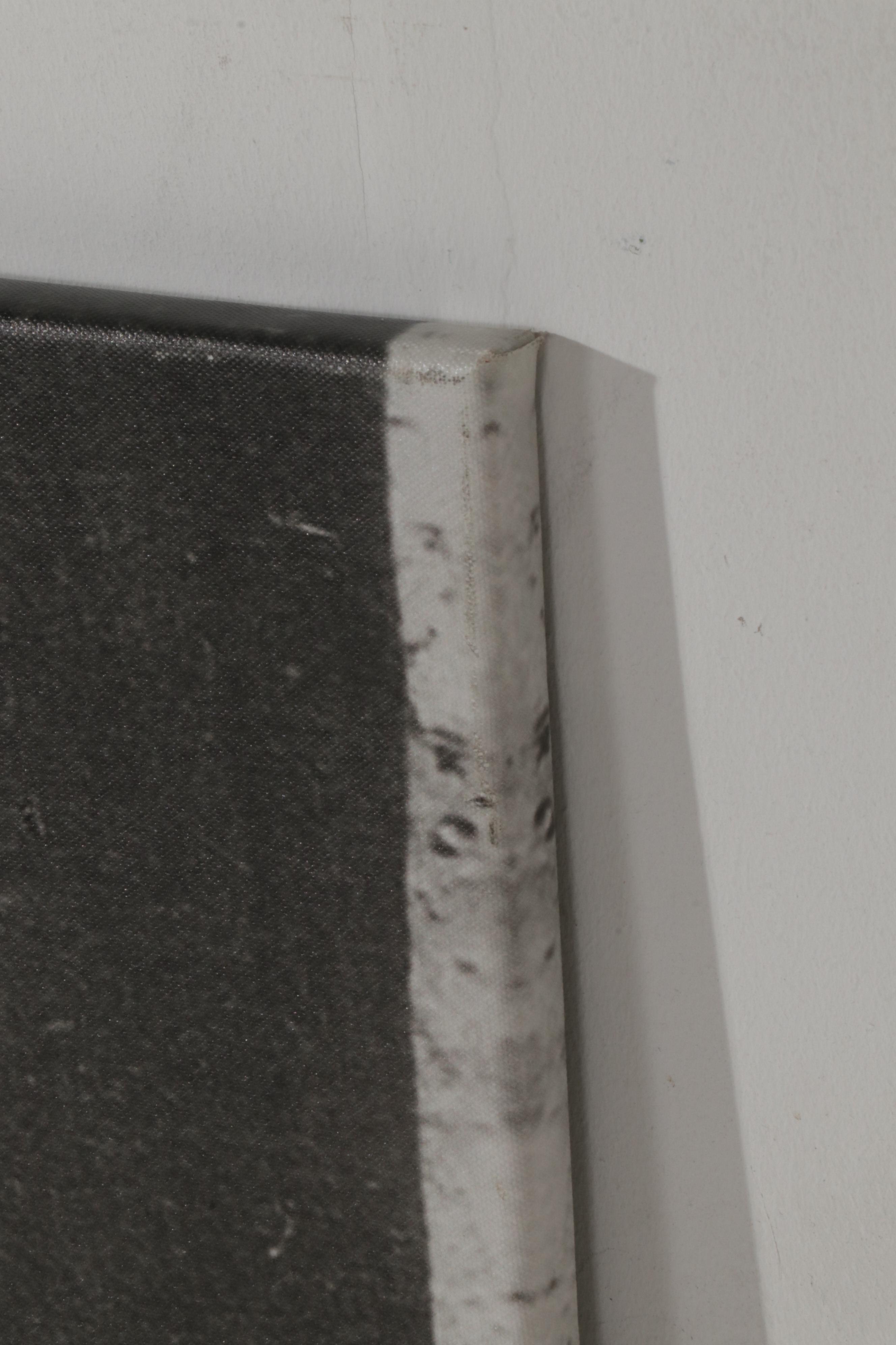 Portrait Giclée of Young Brother and Sister, 21st Century