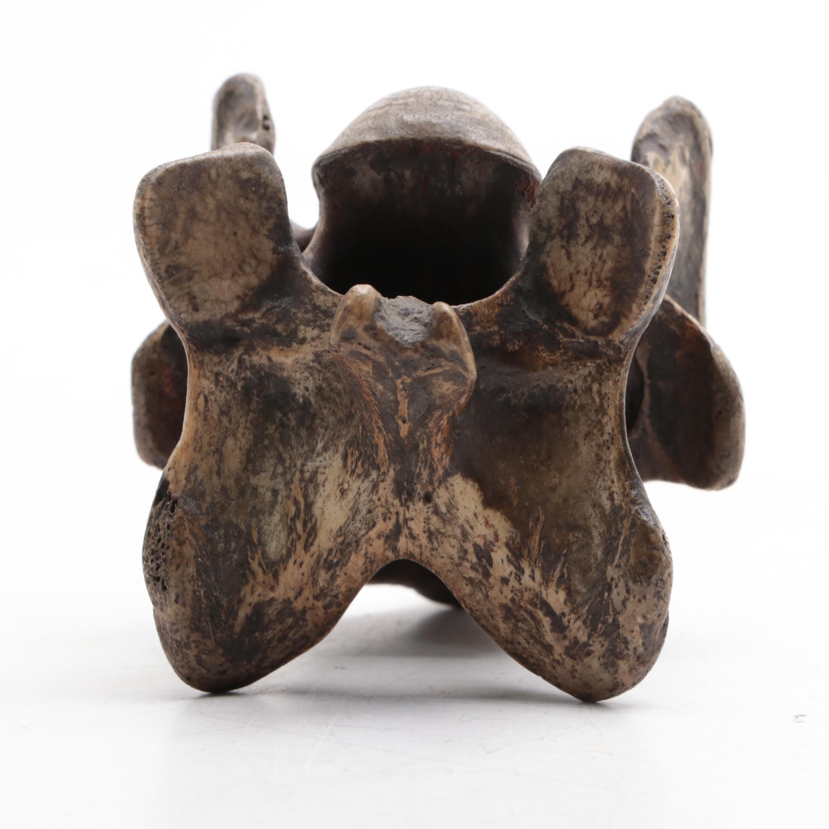 Hongshan Style Carved Stone Figure and Figural Carved Vertebrae
