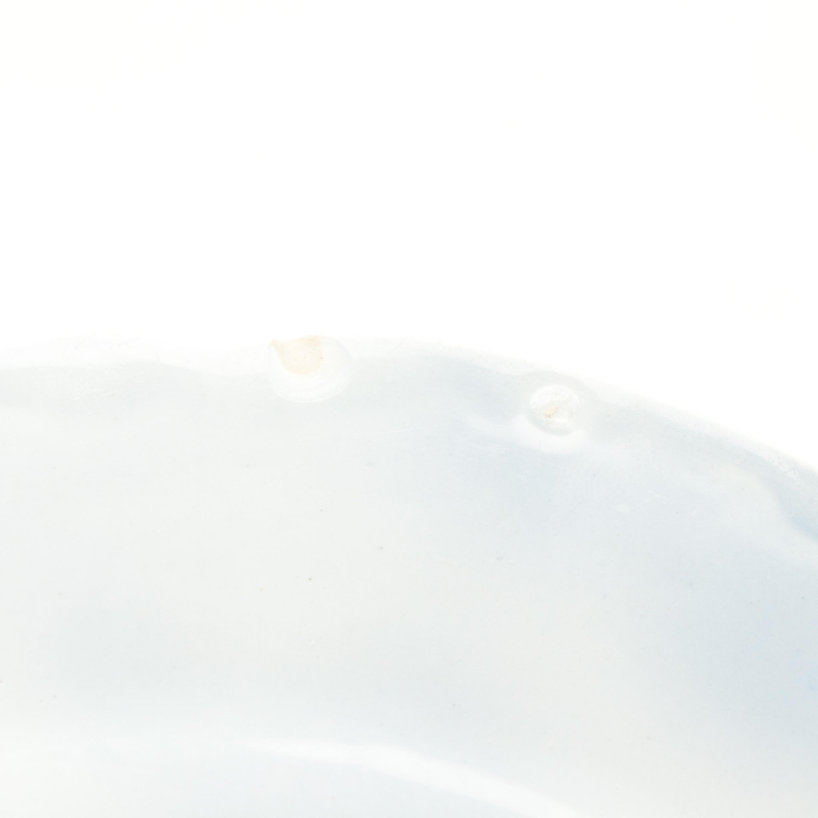 New Wharf Pottery "Poppy" and Other English Flow Blue Dinnerware