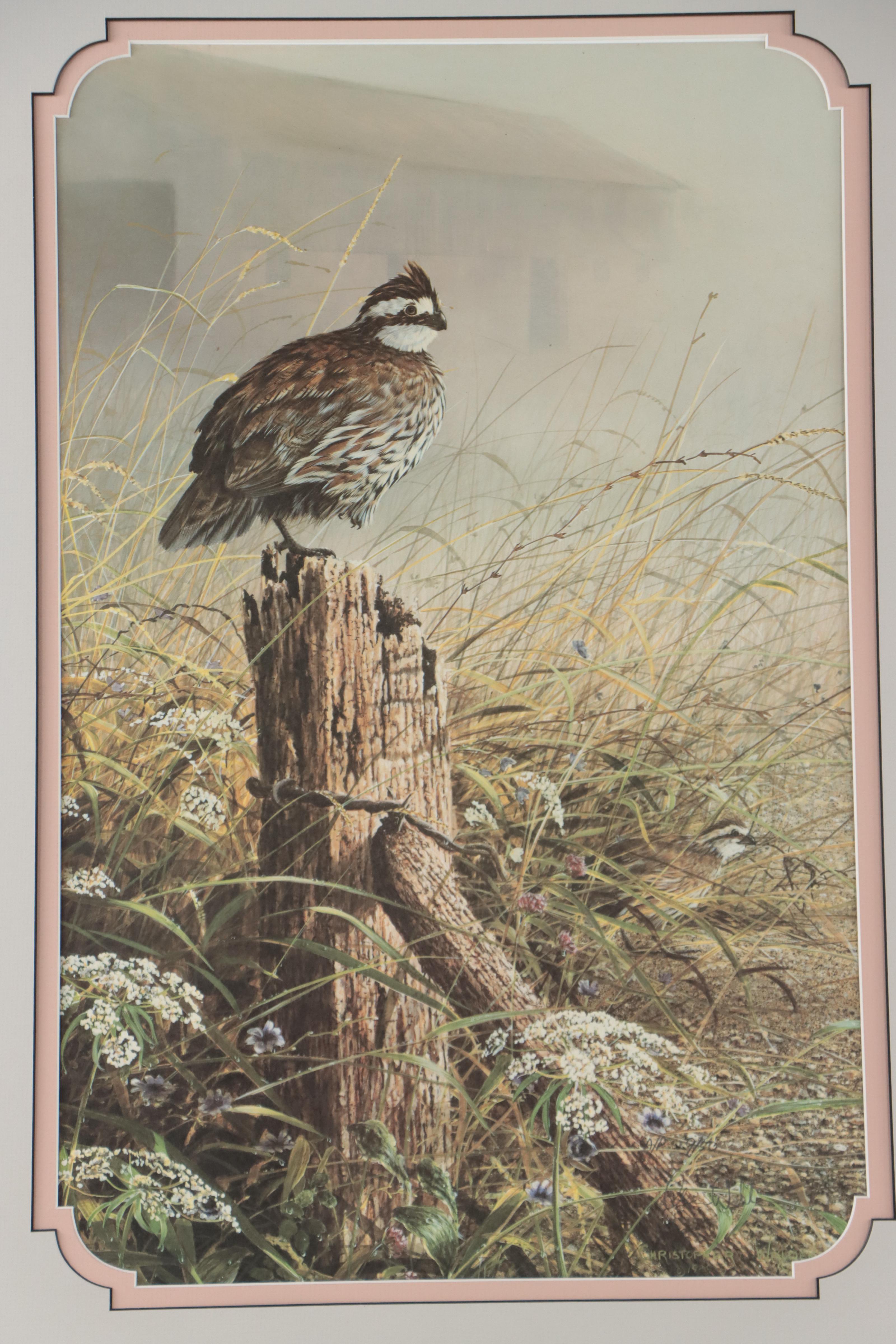Christopher B. Walden Offset Lithographs of Birds Including "Snowed Under"