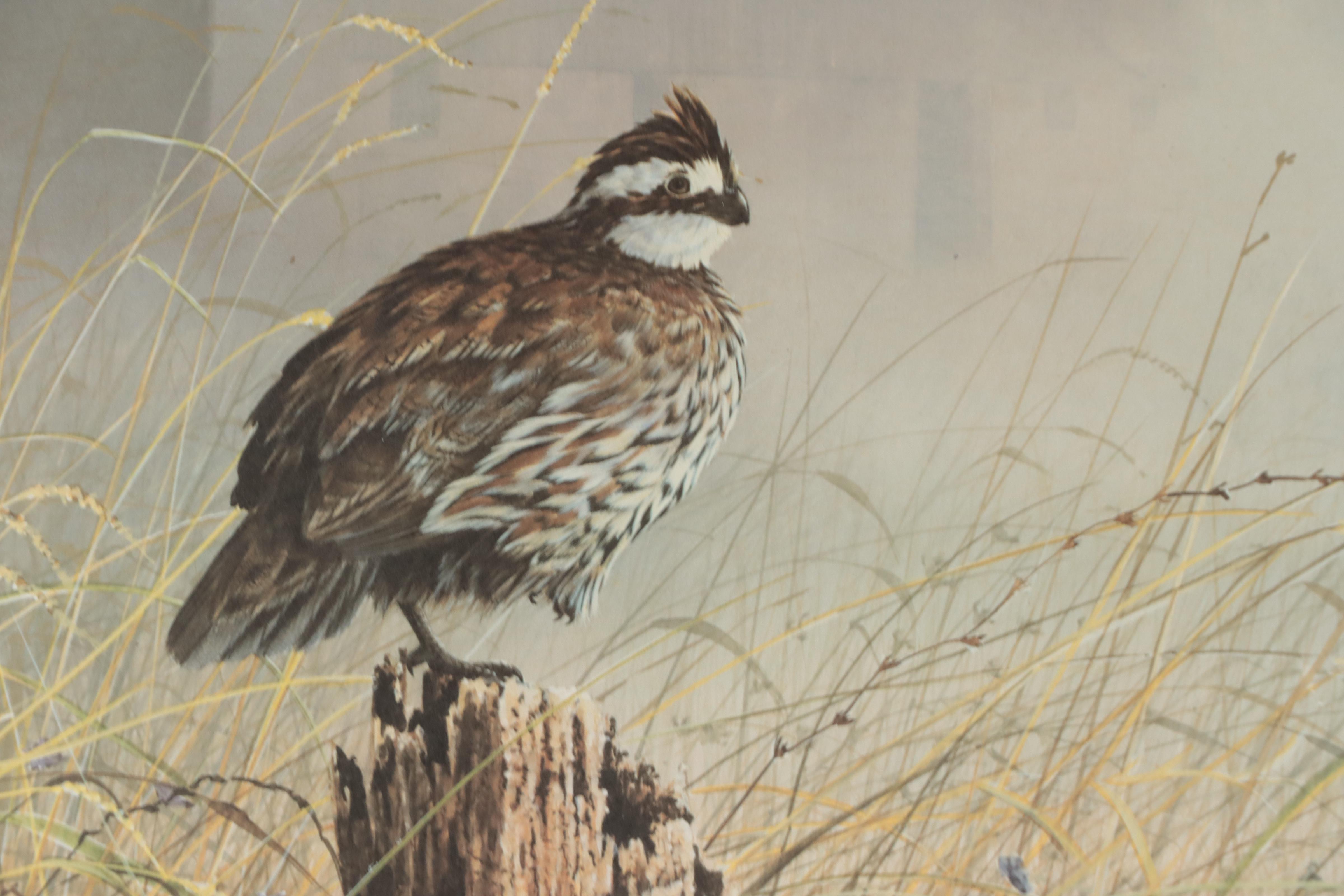 Christopher B. Walden Offset Lithographs of Birds Including "Snowed Under"