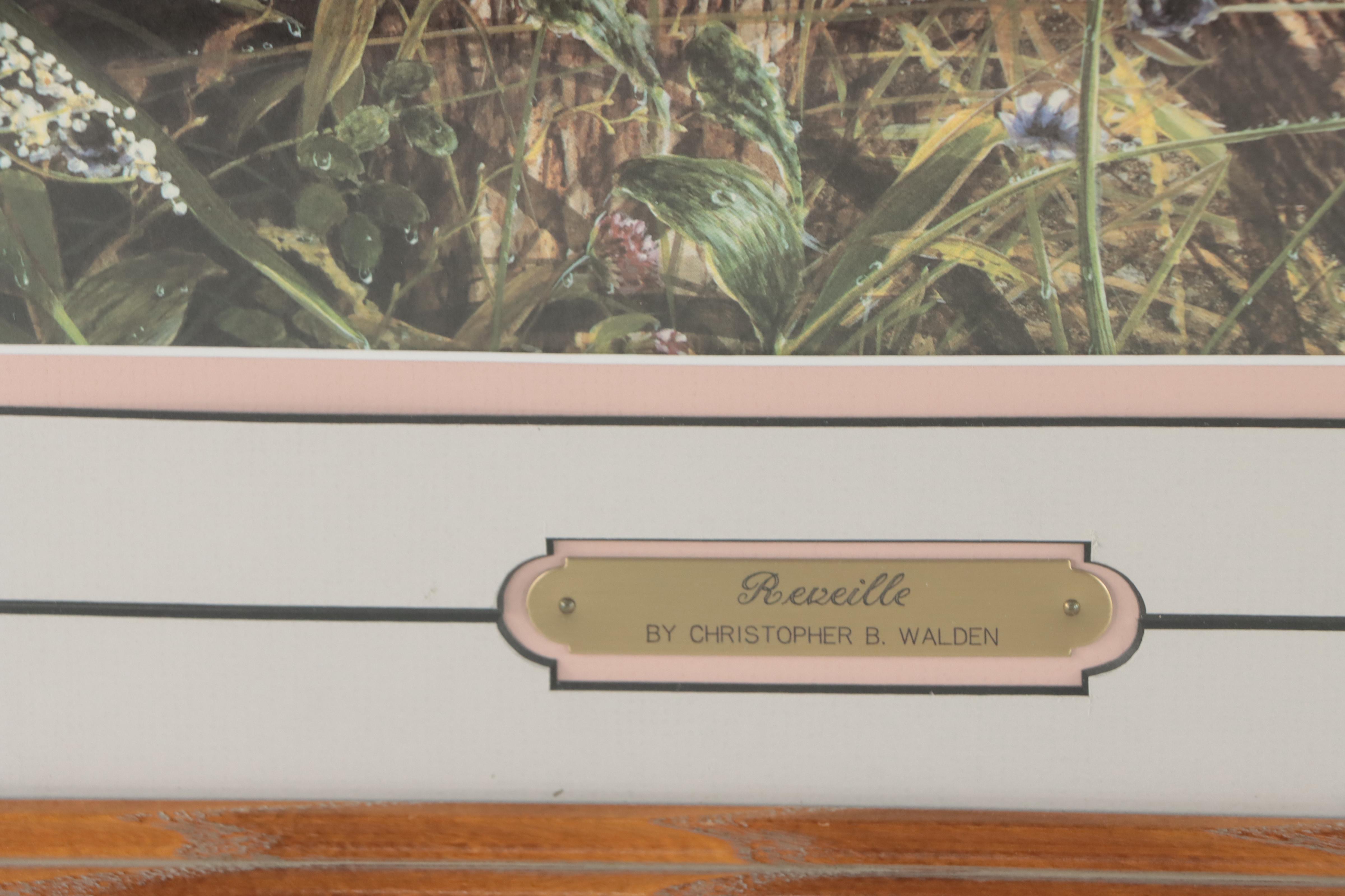 Christopher B. Walden Offset Lithographs of Birds Including "Snowed Under"