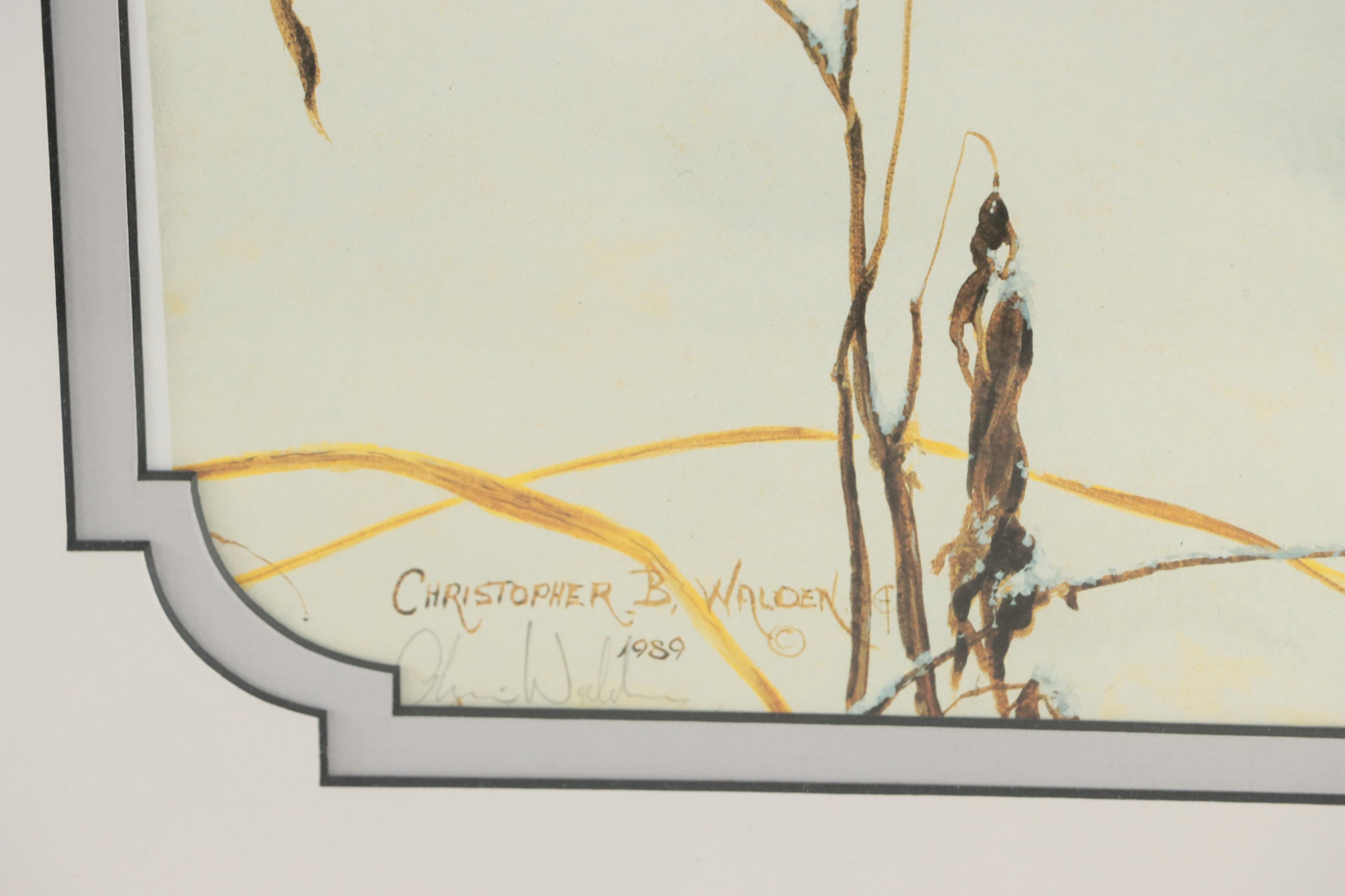 Christopher B. Walden Offset Lithographs of Birds Including "Snowed Under"