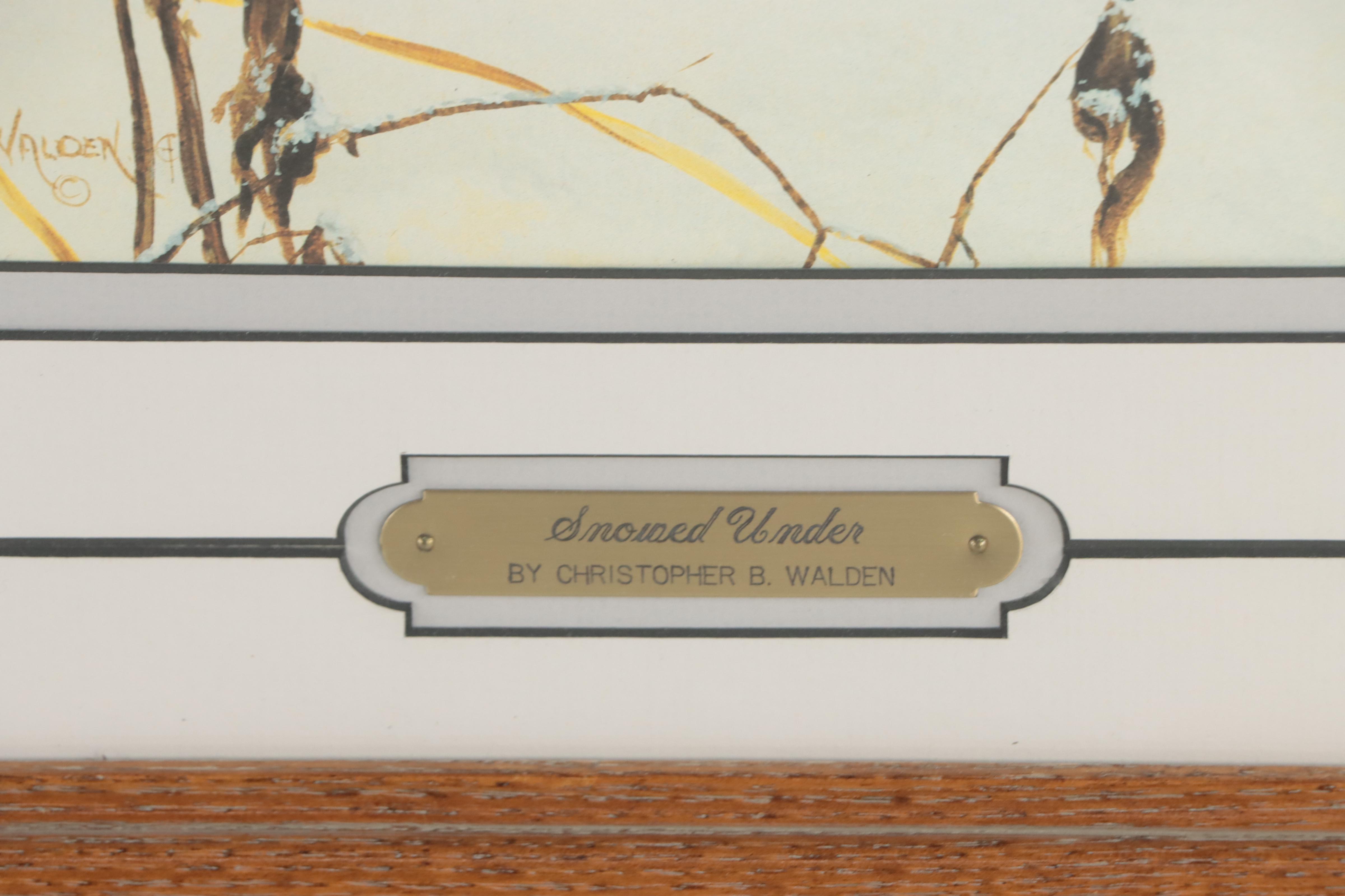 Christopher B. Walden Offset Lithographs of Birds Including "Snowed Under"