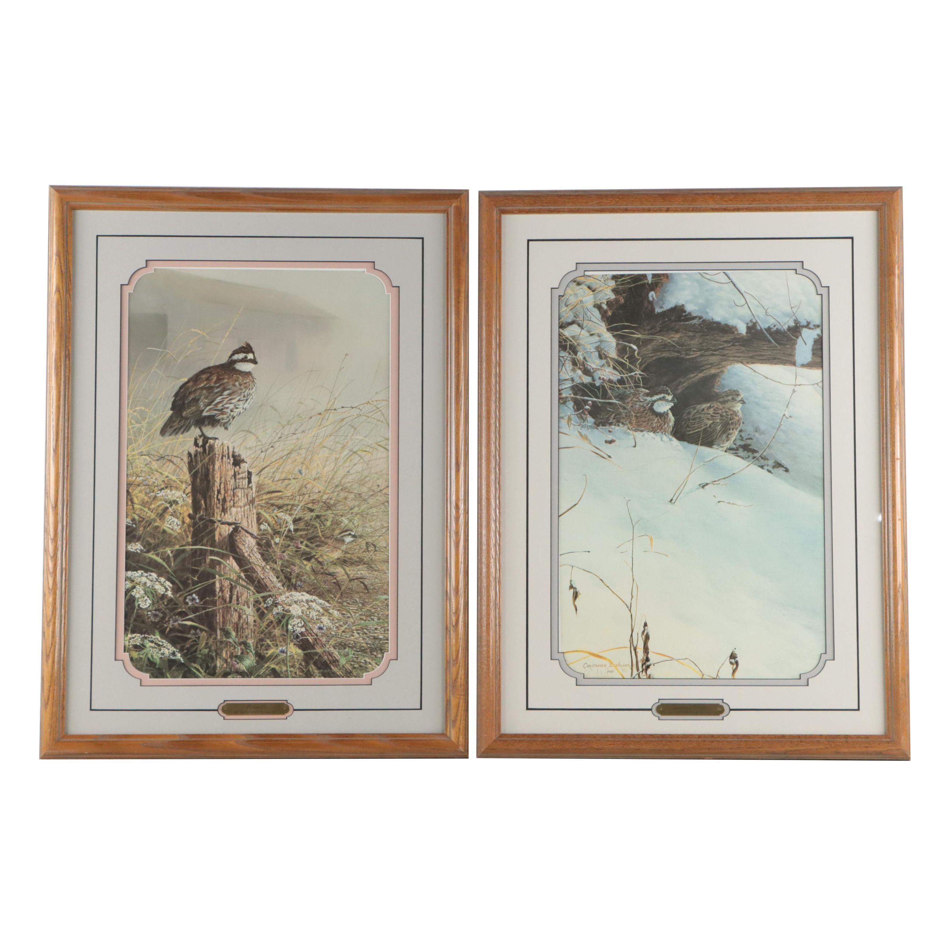 Christopher B. Walden Offset Lithographs of Birds Including "Snowed Under"