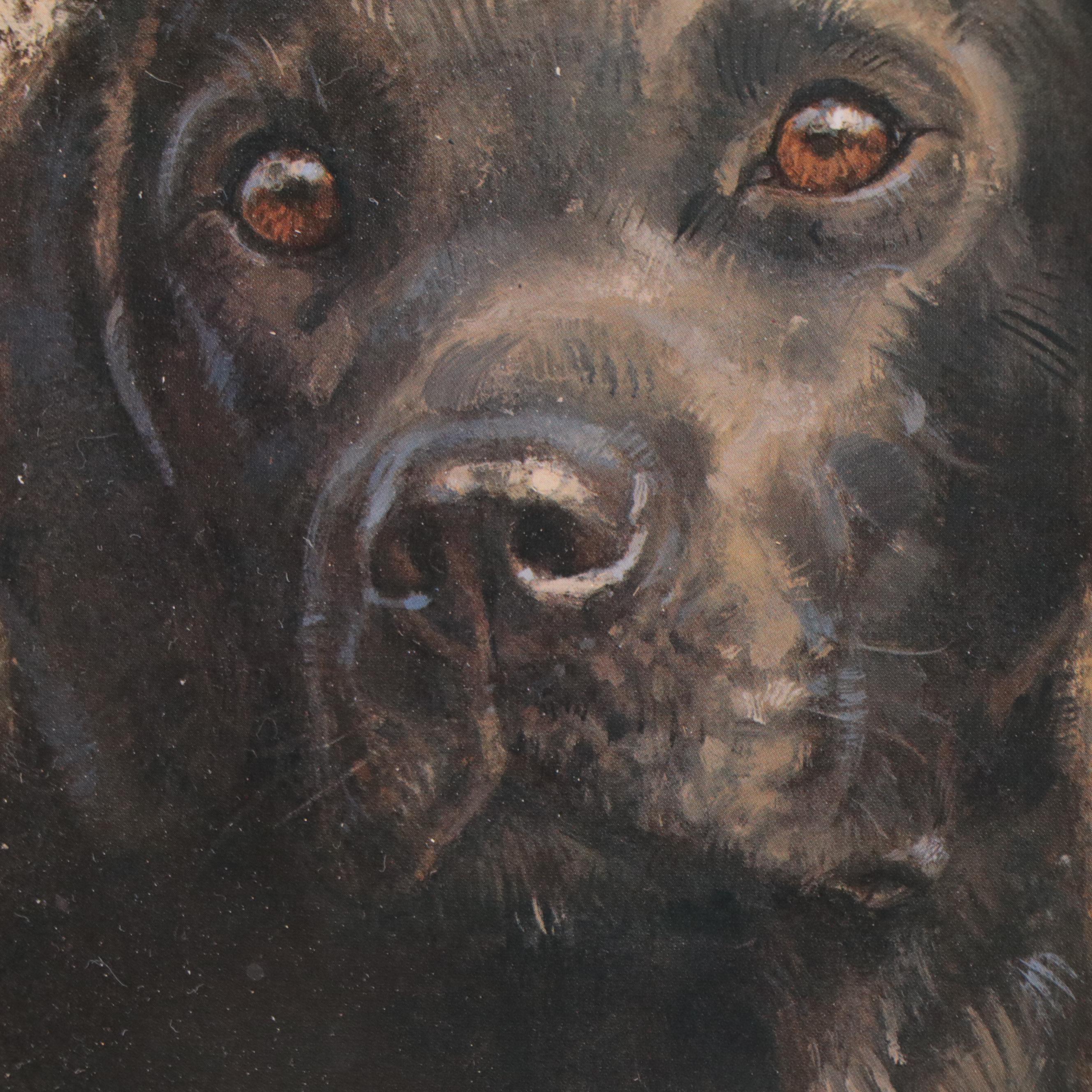Robert K. Abbett Offset Lithograph "Labrador Retriever"