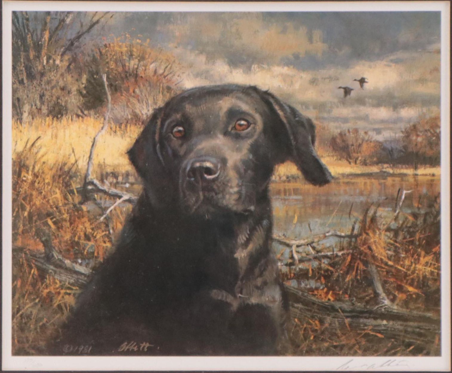 Robert K. Abbett Offset Lithograph "Labrador Retriever"