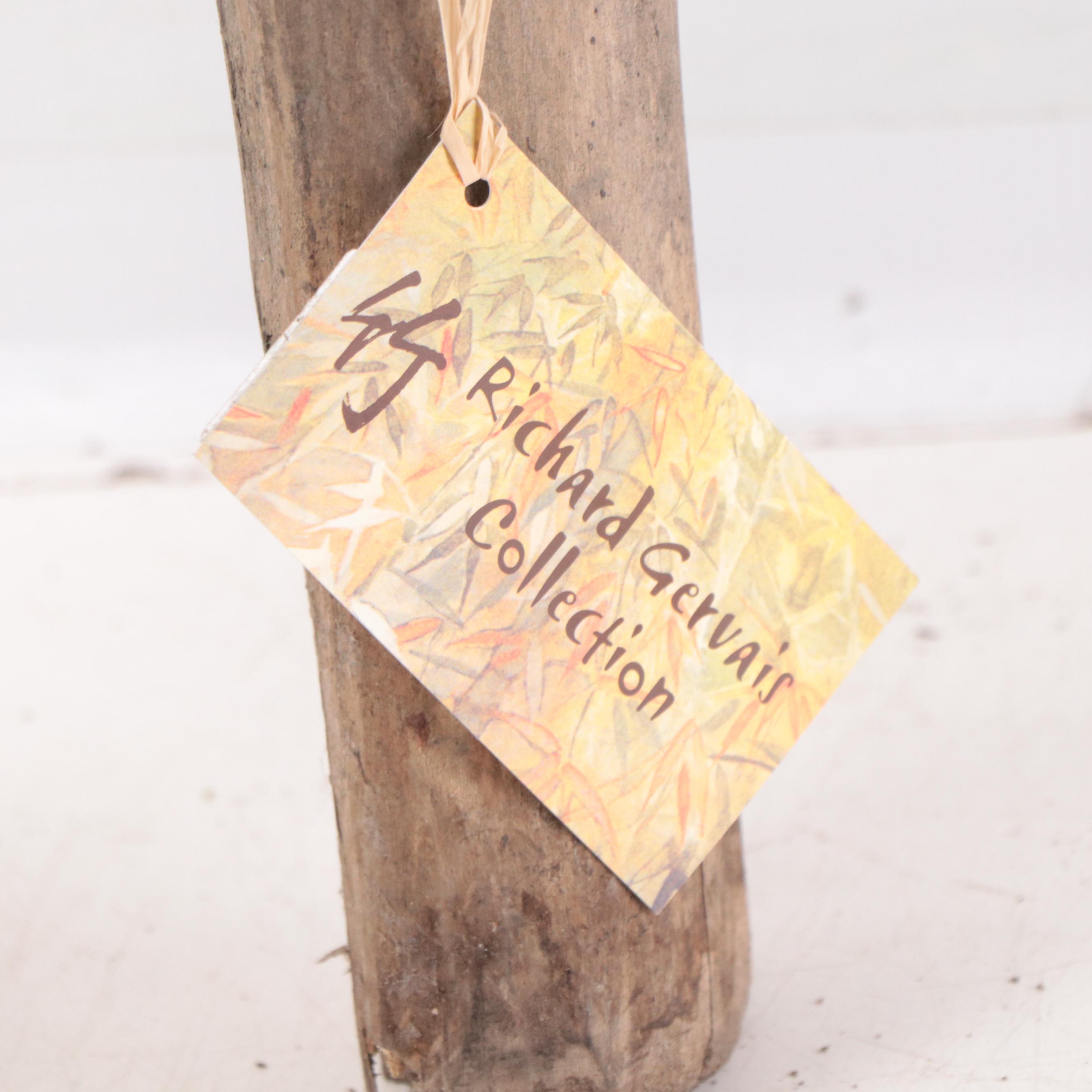 Bontoc Ifugao Pine "Dancing" Bulul Votive Holder