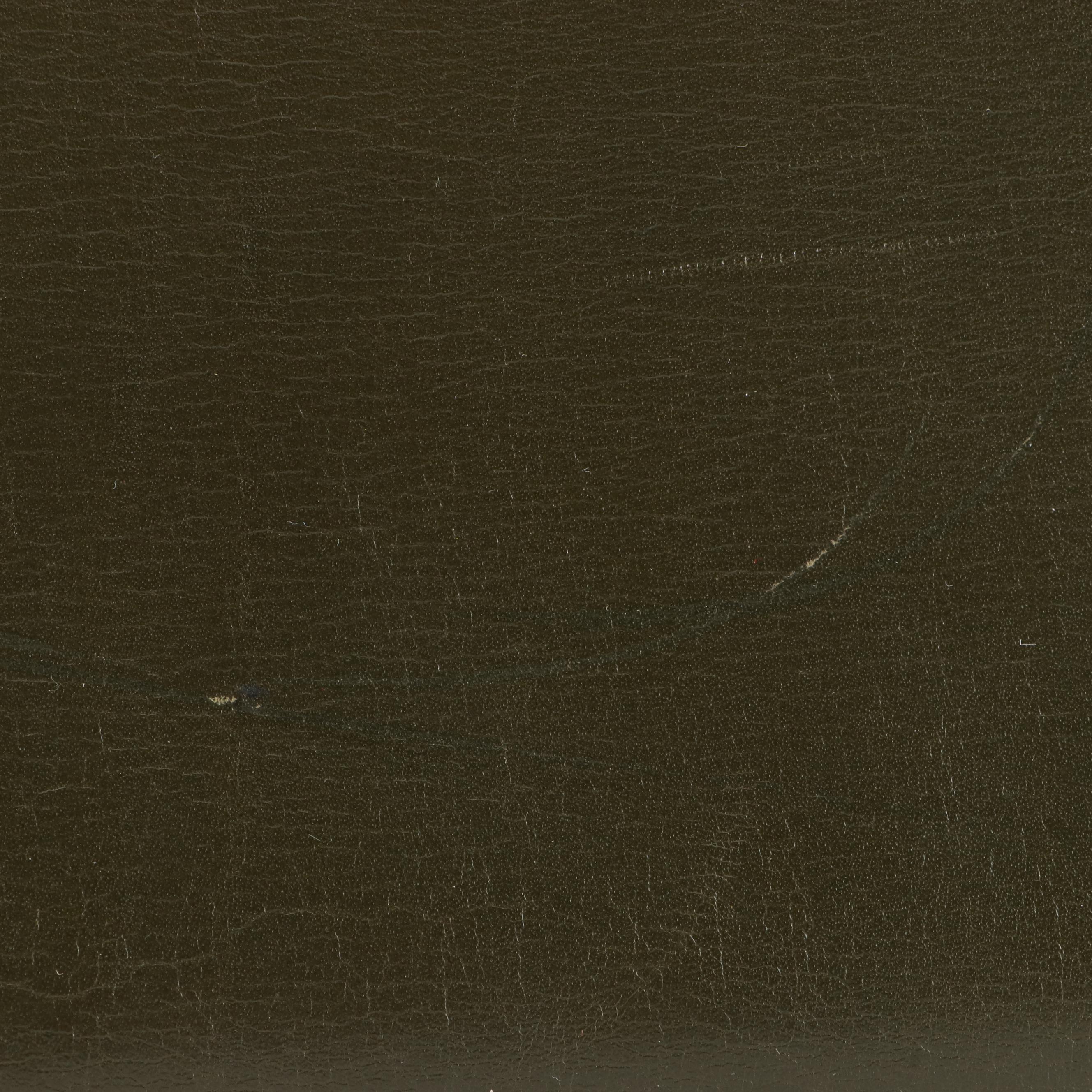 Louis Vuitton City Steamer PM Bag in Tri-Color Calfskin with Shoulder Strap